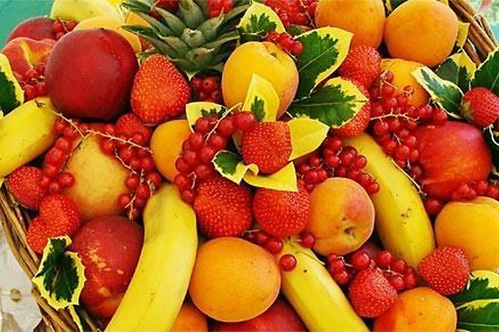 Traiteurs, TRAITEURS - VILLERS-SAINT-PAUL (OISE) : LÉVÊQUE TRAITEUR