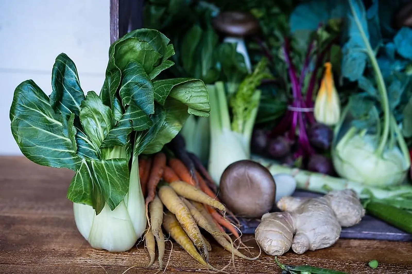 Traiteurs, TRAITEURS - WAMBRECHIES (NORD) : INSTANT CULINAIRE