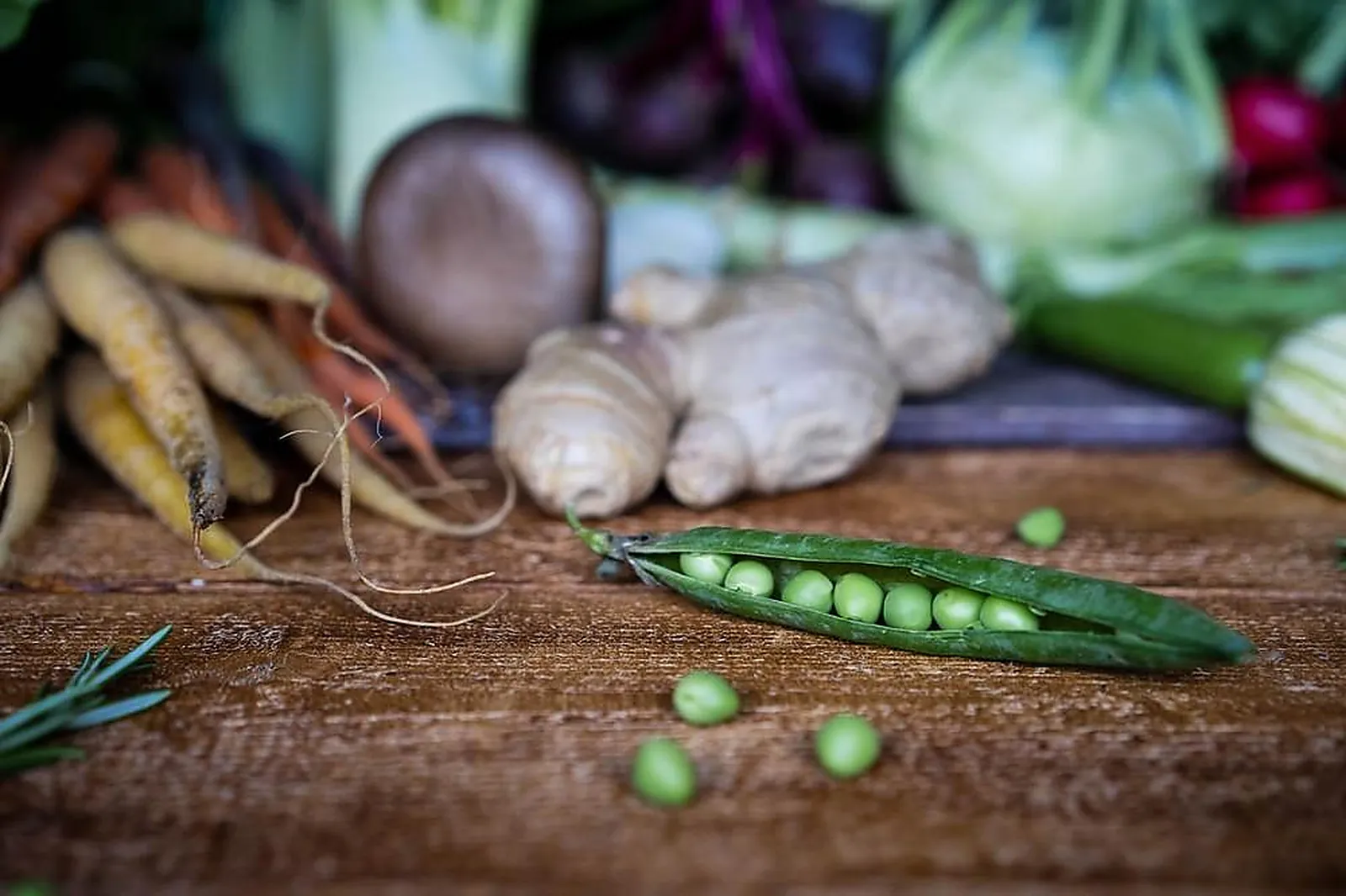 Traiteurs, TRAITEURS - WAMBRECHIES (NORD) : INSTANT CULINAIRE