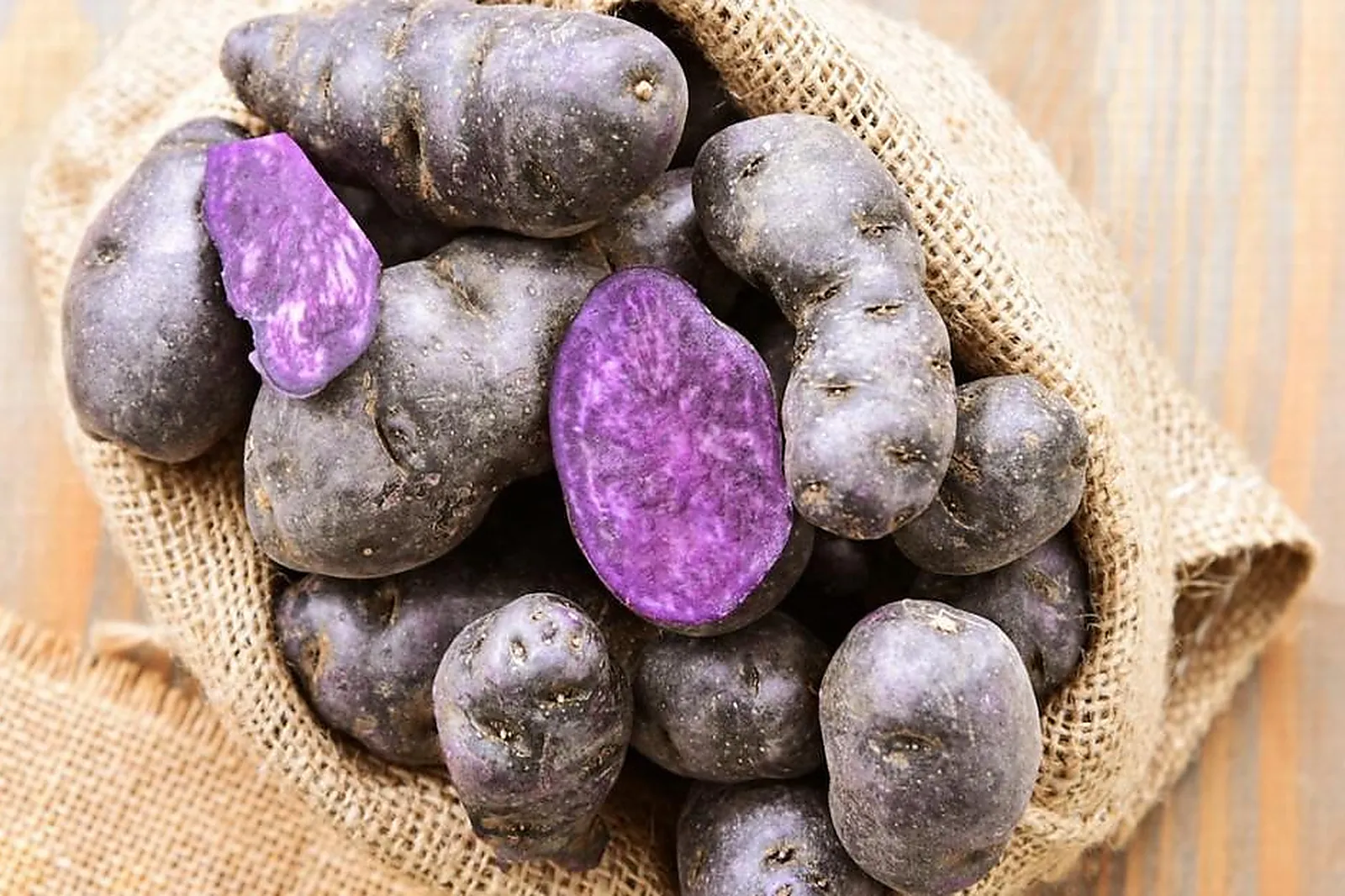 Traiteurs, TRAITEURS - WASQUEHAL (NORD) : SO GOOD