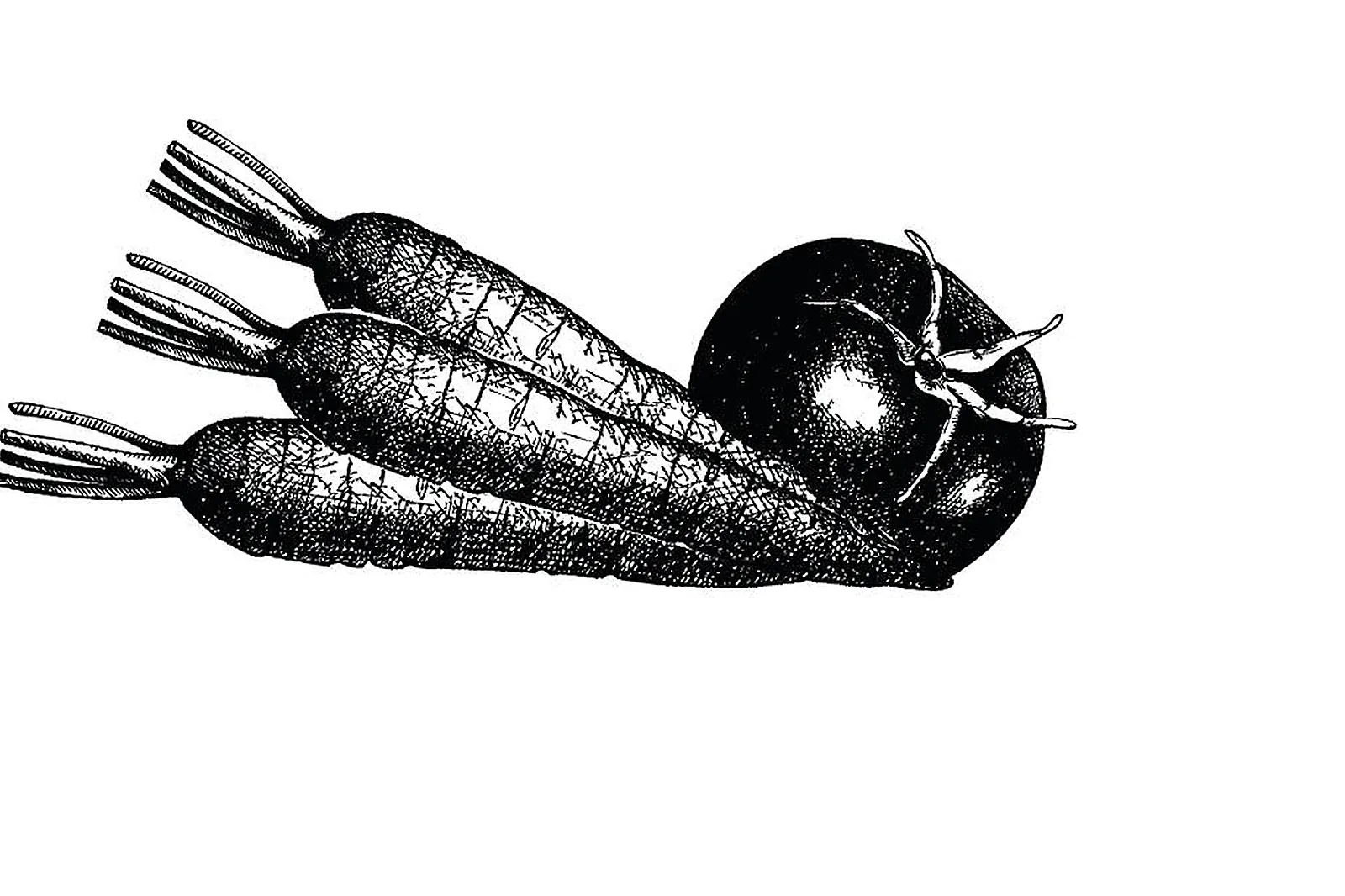 Traiteurs, TRAITEURS - WISSOUS (ESSONNE) : CALIXIR