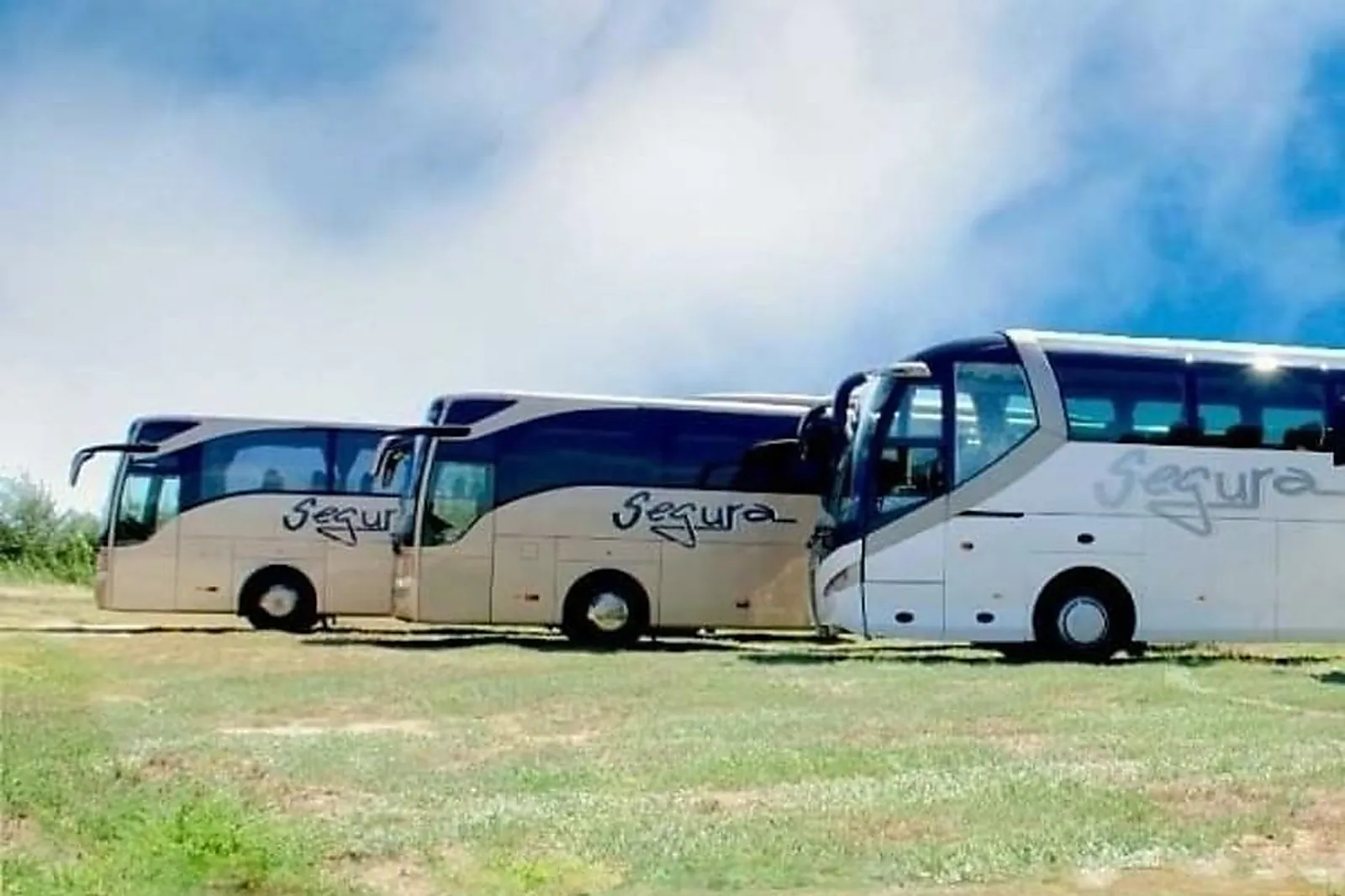 Transfert, VÉHICULES DE PRESTIGE - ARLES (BOUCHES-DU-RHÔNE) : AUTOCARS SEGURA