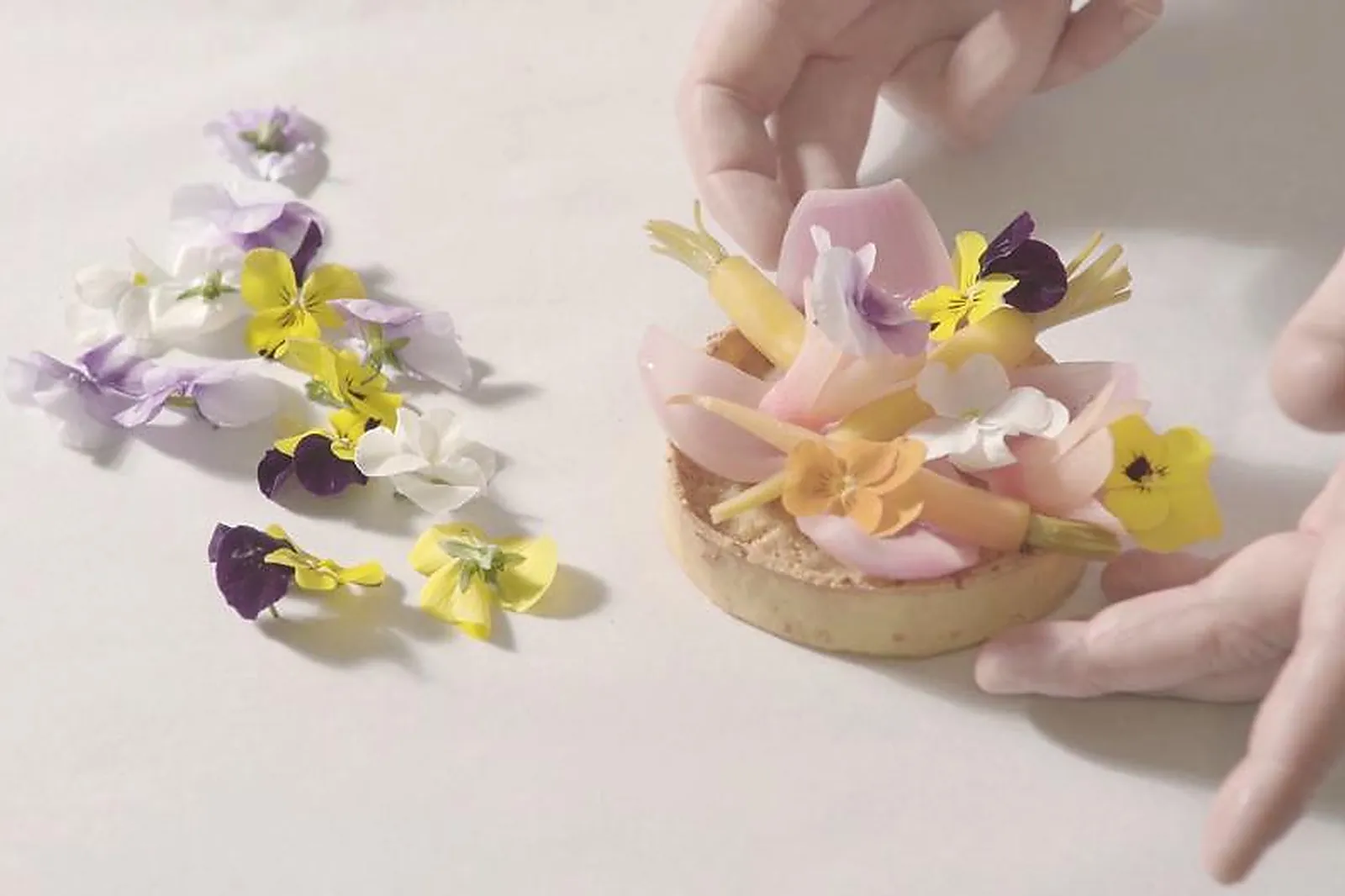 Centre de congrès, VISIOCONFÉRENCE - PARIS (PARIS) : VOXMEDIA