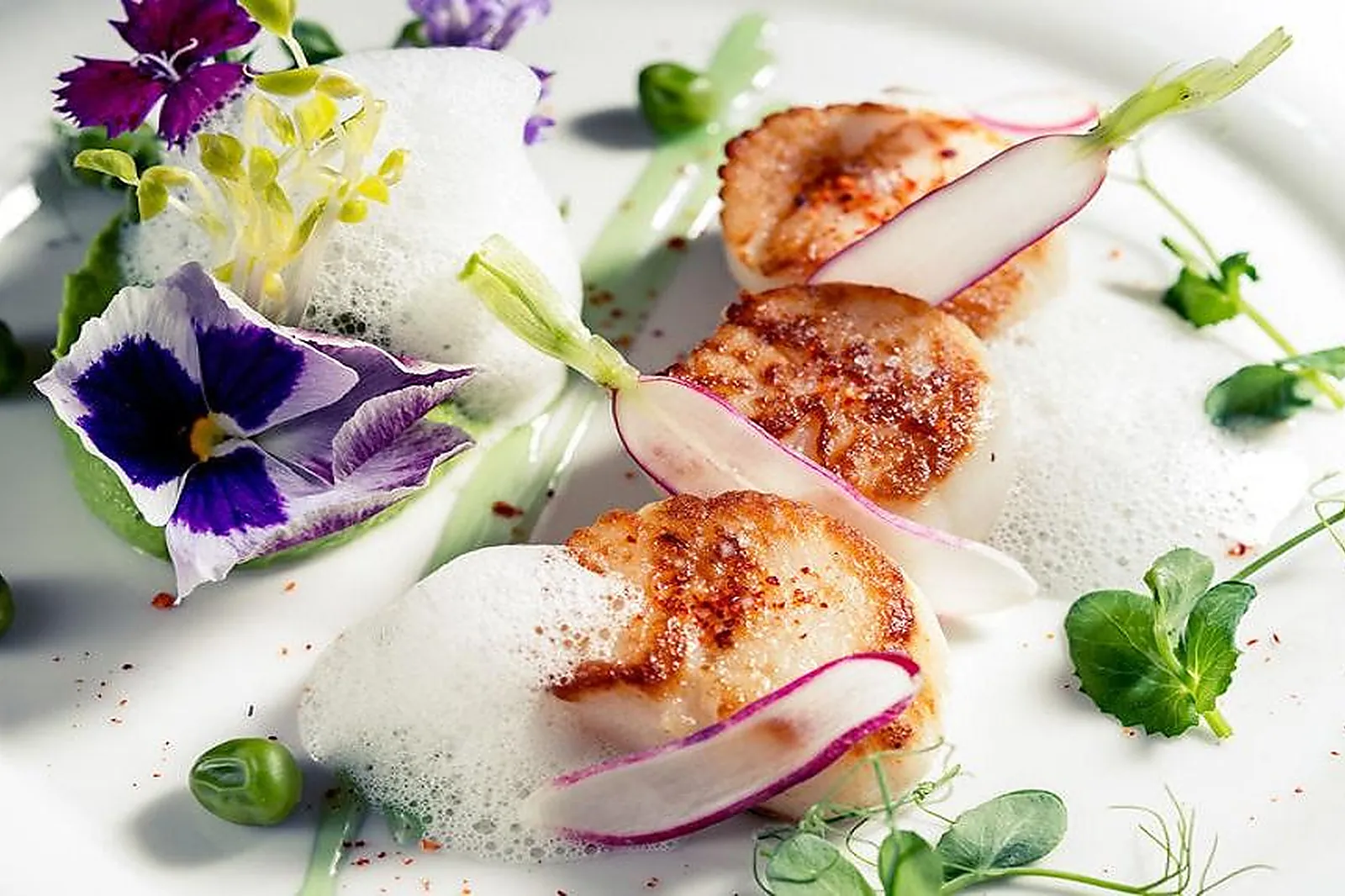 Lieux événementiels, AQUABELLA HÔTEL & SPA  - GROUPE PARTOUCHE