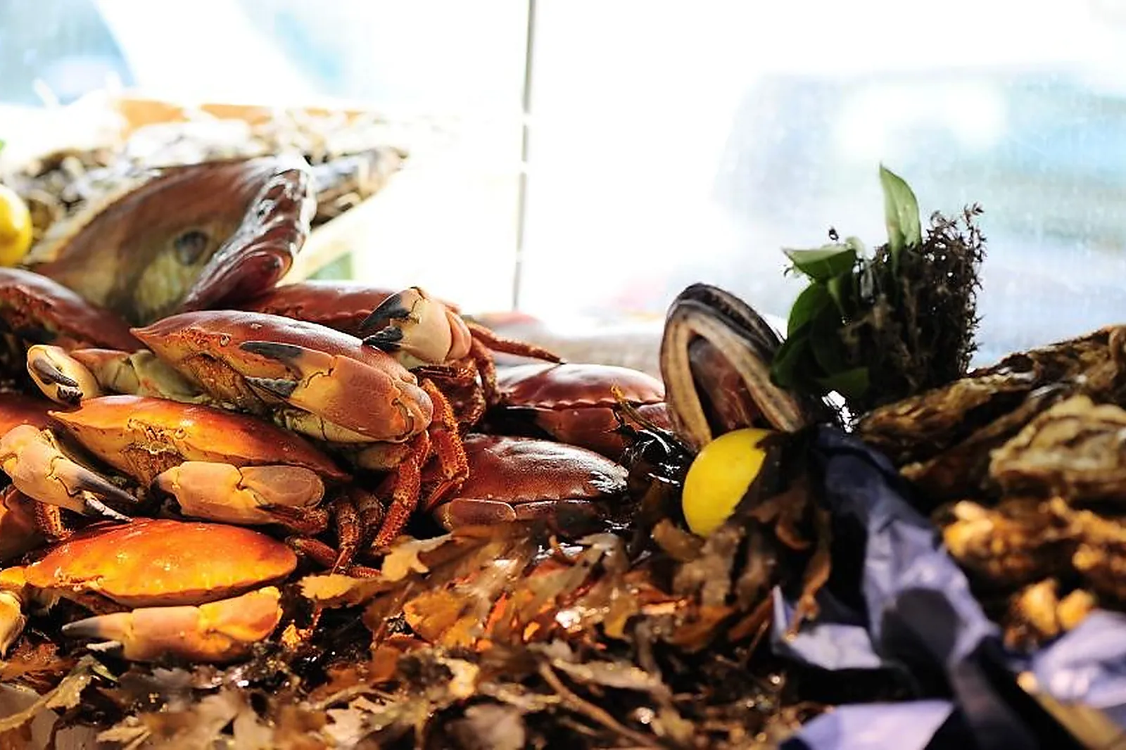 Lieux événementiels, BAR ANDRÉ