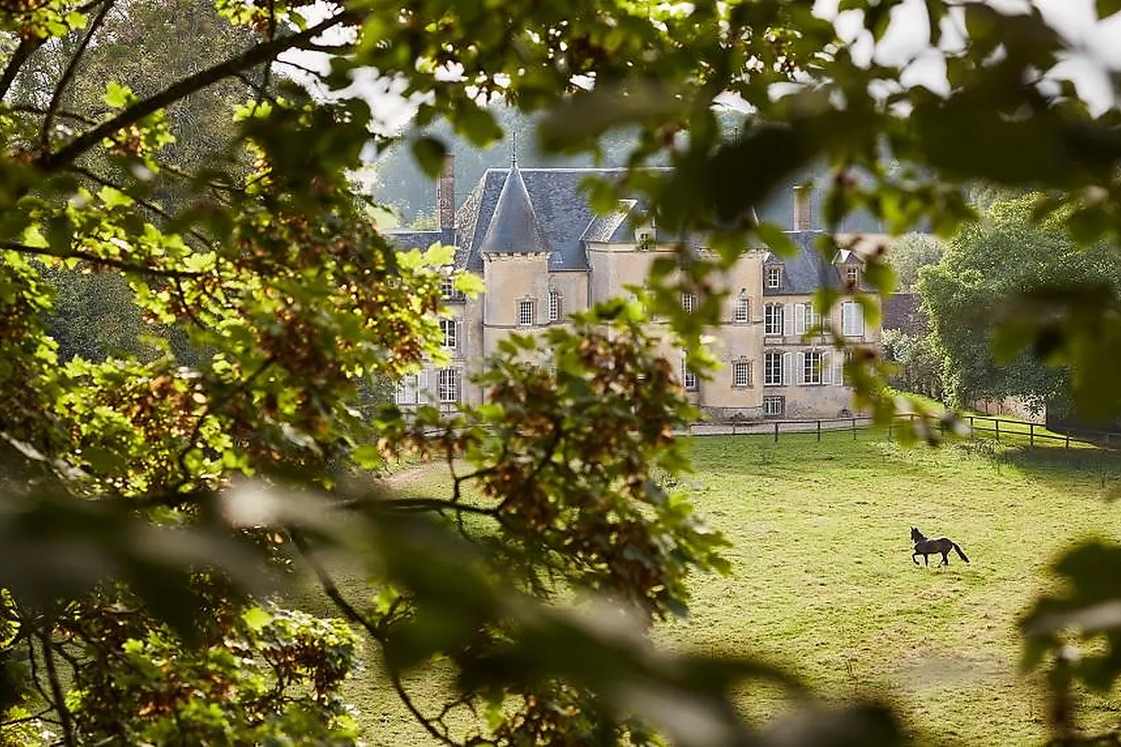Lieux événementiels, CABANES DANS LES ARBRES DE LA GRANDE NOË