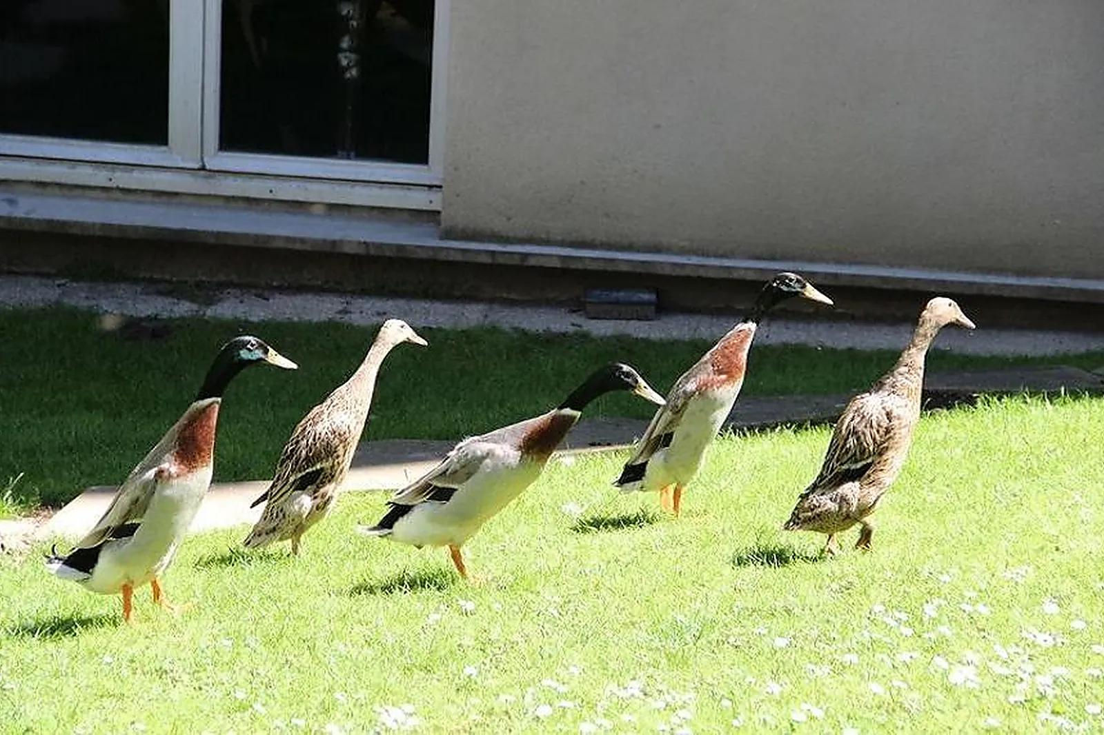 Lieux événementiels, CENTRE D'AFFAIRES ESPACE HAMELIN