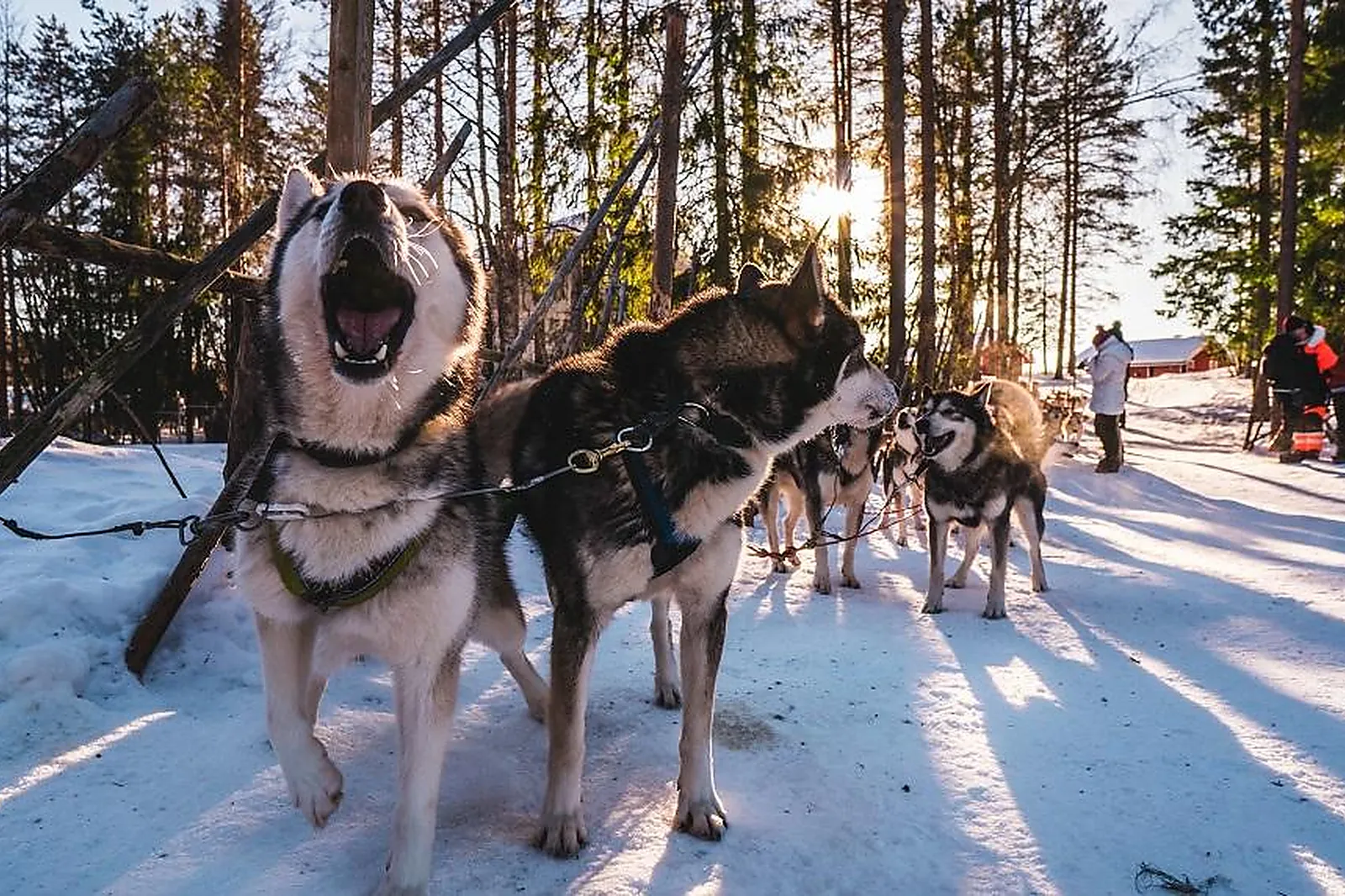 Lieux événementiels, CHALET ALPEN VALLEY MONT-BLANC