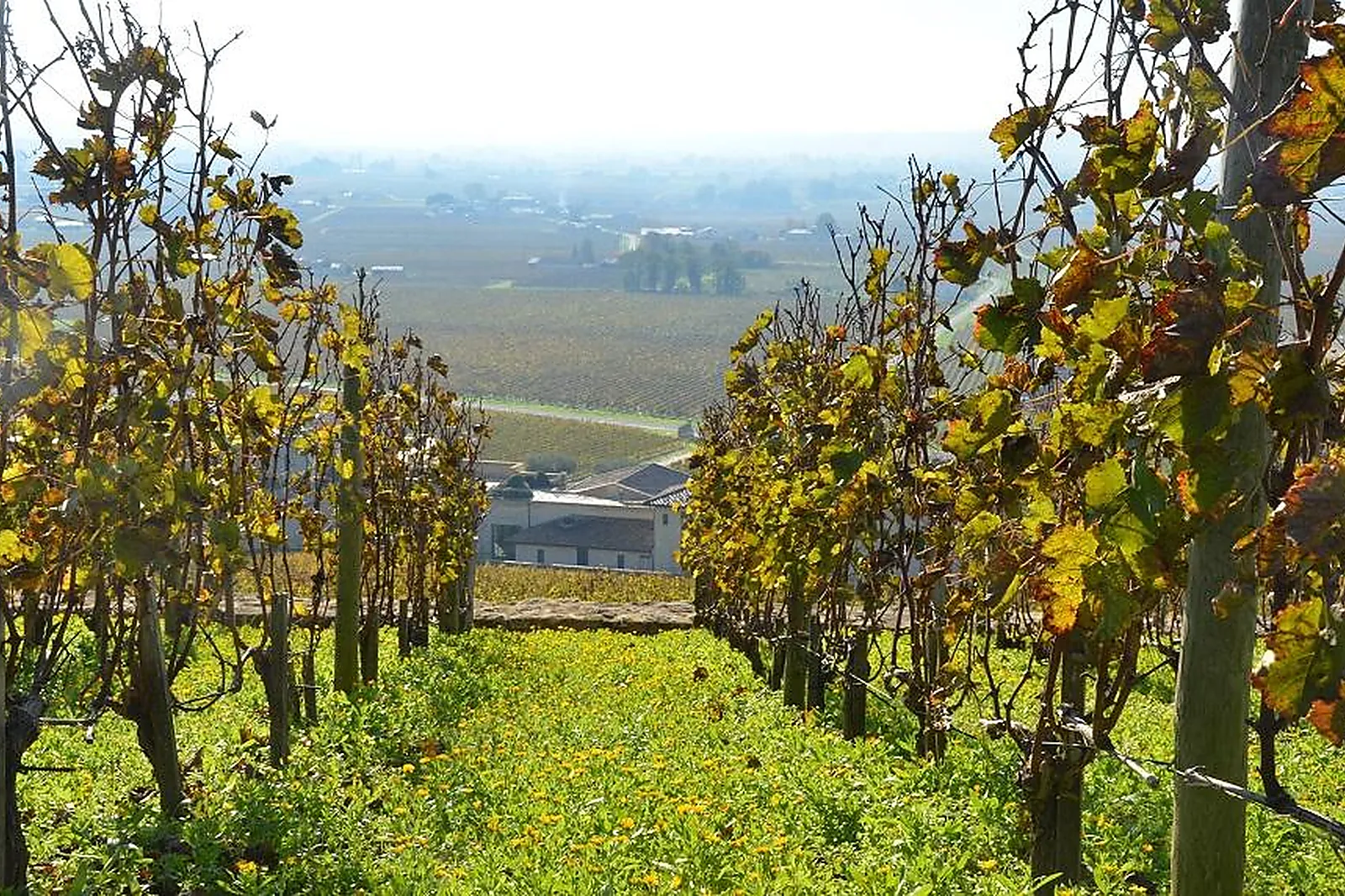 Lieux événementiels, CHÂTEAU LA RENOMMÉE
