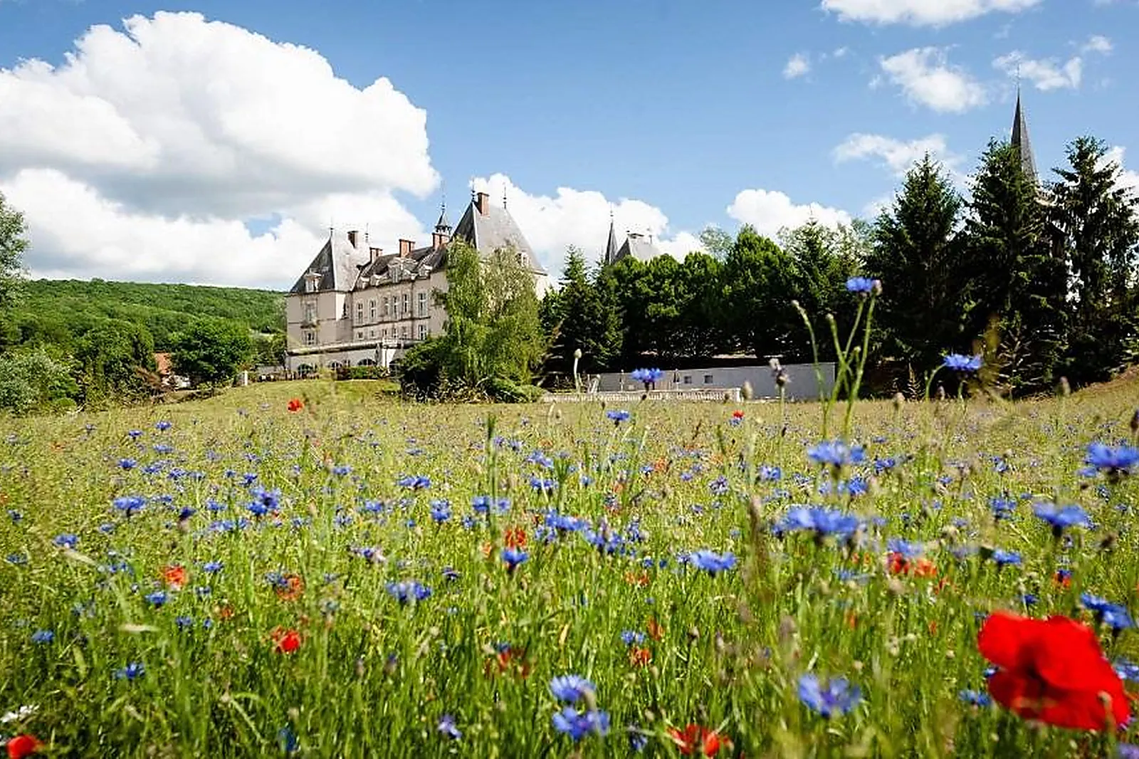 Bourgogne, CHÂTEAU SAINTE SABINE