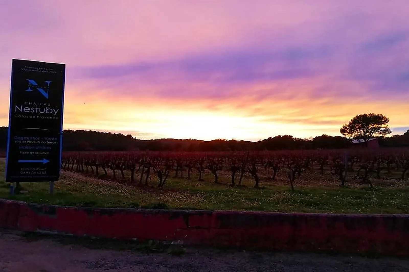 Lieux événementiels, CHÂTEAU DE NESTUBY