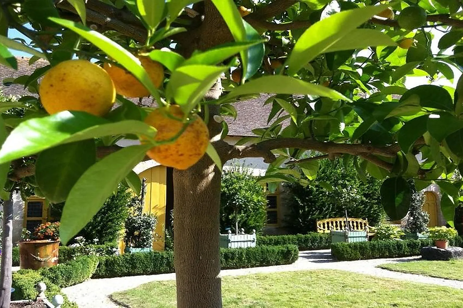 Lieux événementiels, CHÂTEAU DE SAINT-LOUP-SUR-THOUET