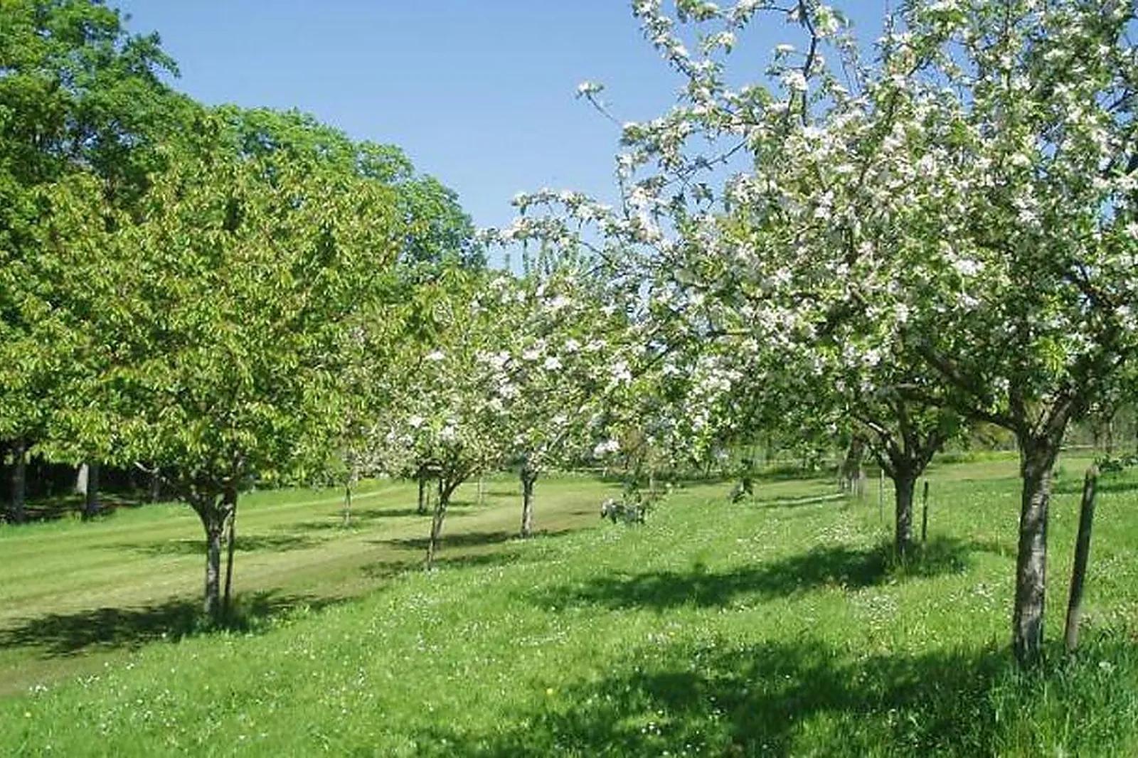 Lieux événementiels, CHÂTEAU DE SAINT-LOUP-SUR-THOUET