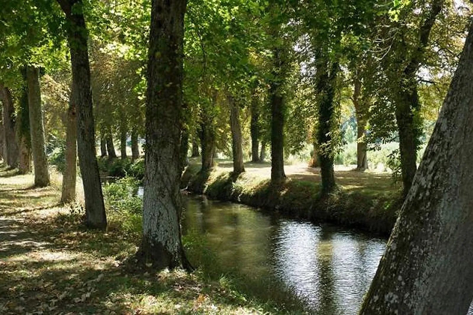 Lieux événementiels, CHÂTEAU DE SAINT-LOUP-SUR-THOUET