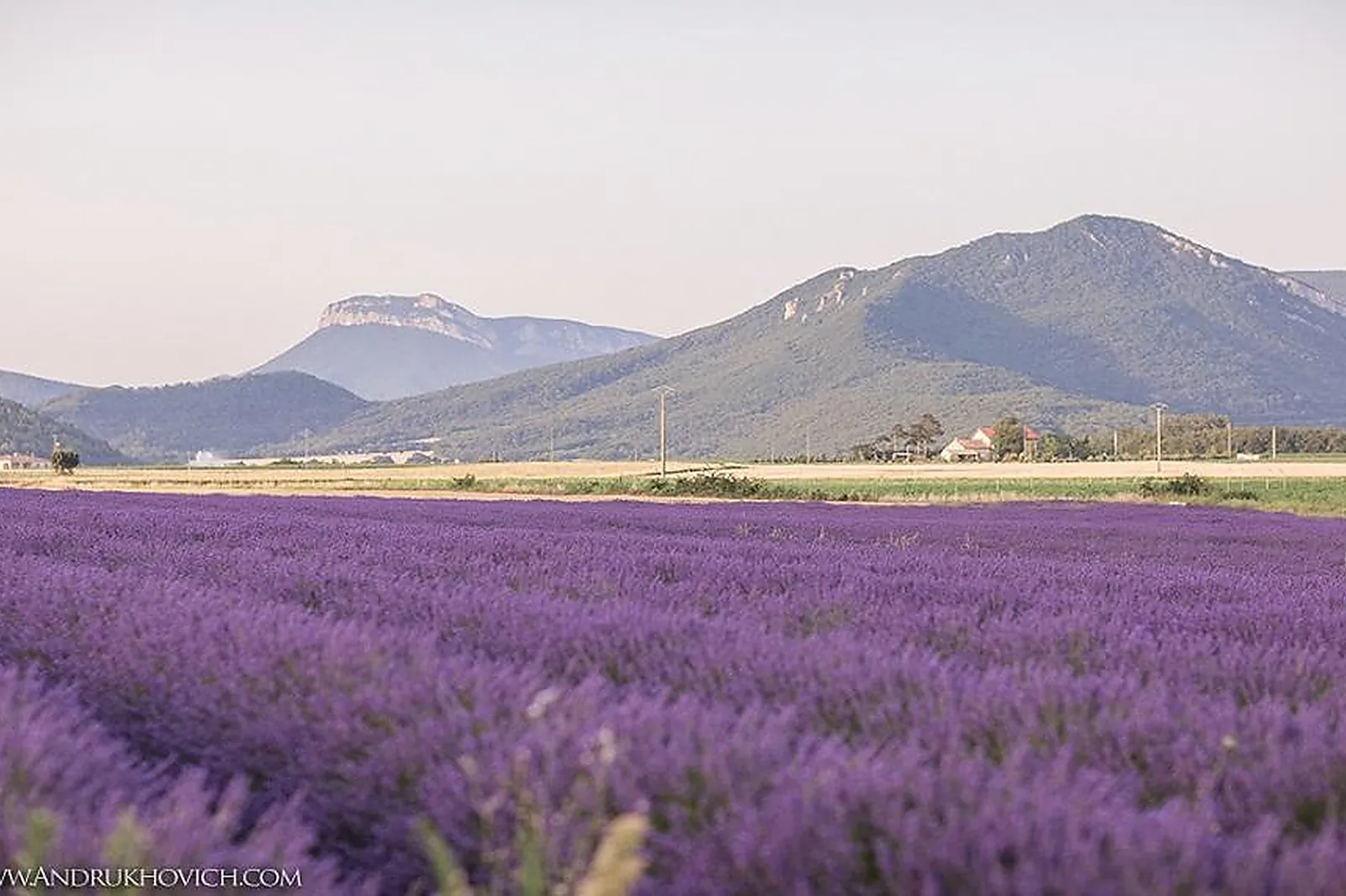 Lieux événementiels, CHÂTEAU LES OLIVIERS DE SALETTES - HOTEL - RESTAURANT - SPA