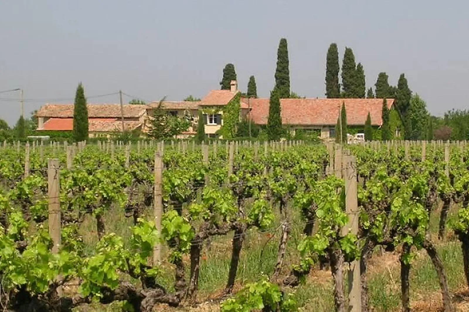 Château et Domaine, DOMAINE DE LA CAMARETTE