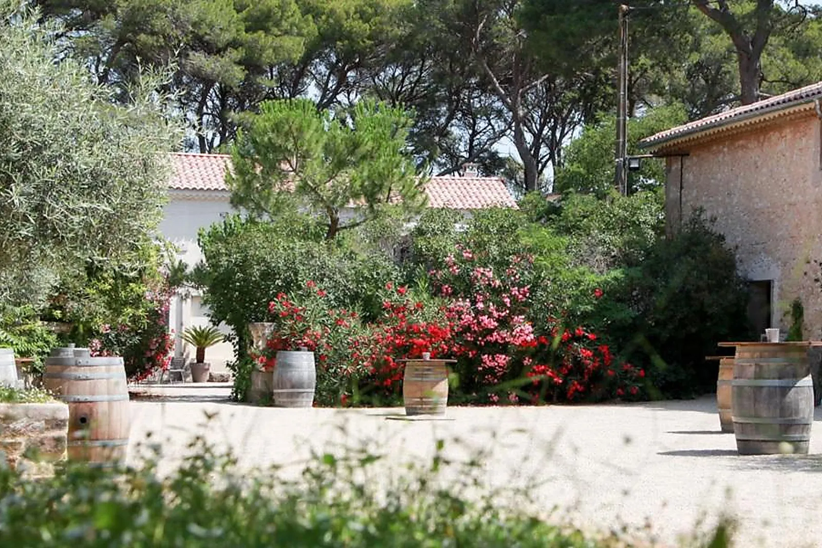 Lieux événementiels, DOMAINE DE LA GRANGETTE À MONTAGNAC