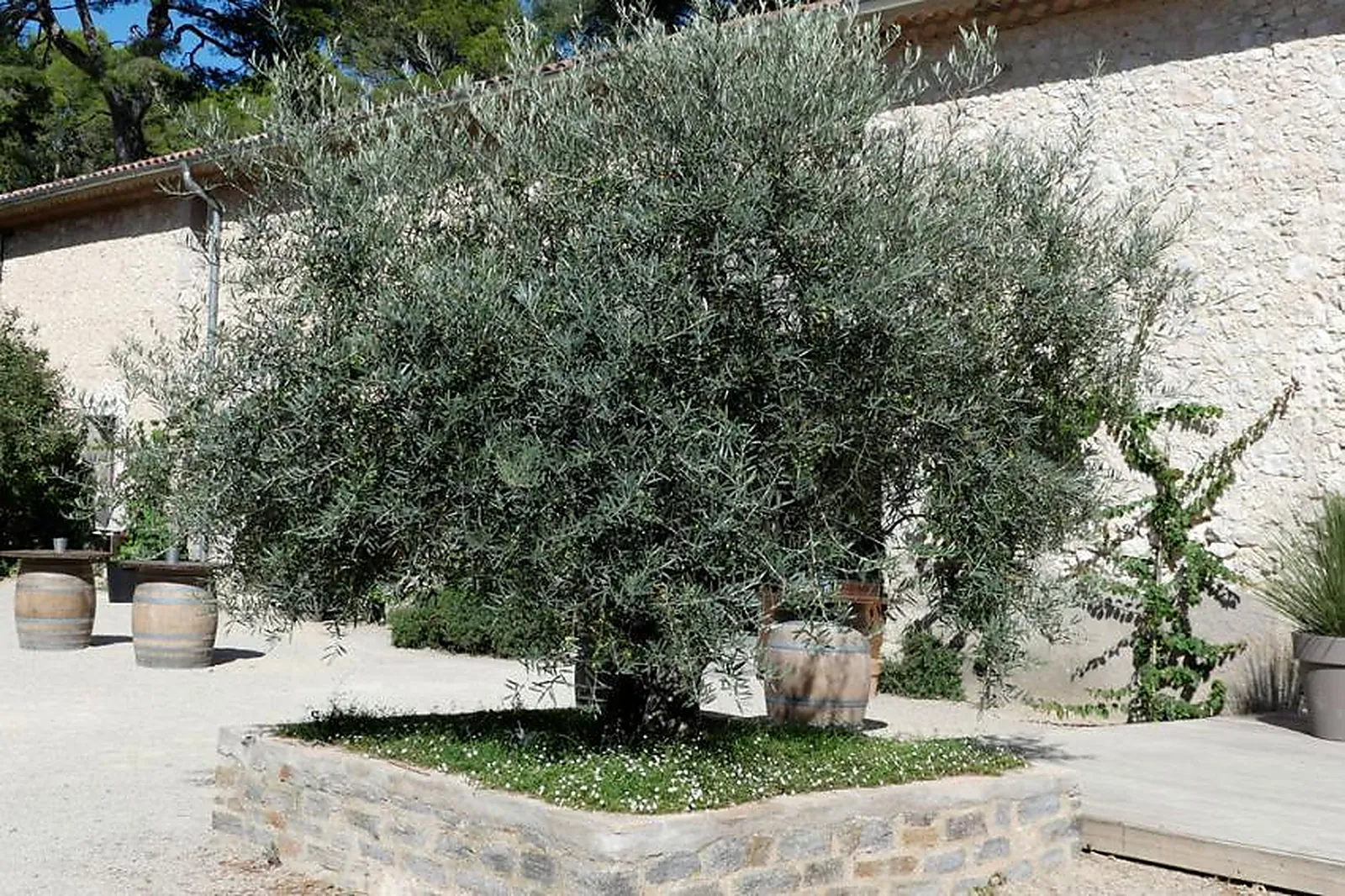 Lieux événementiels, DOMAINE DE LA GRANGETTE À MONTAGNAC