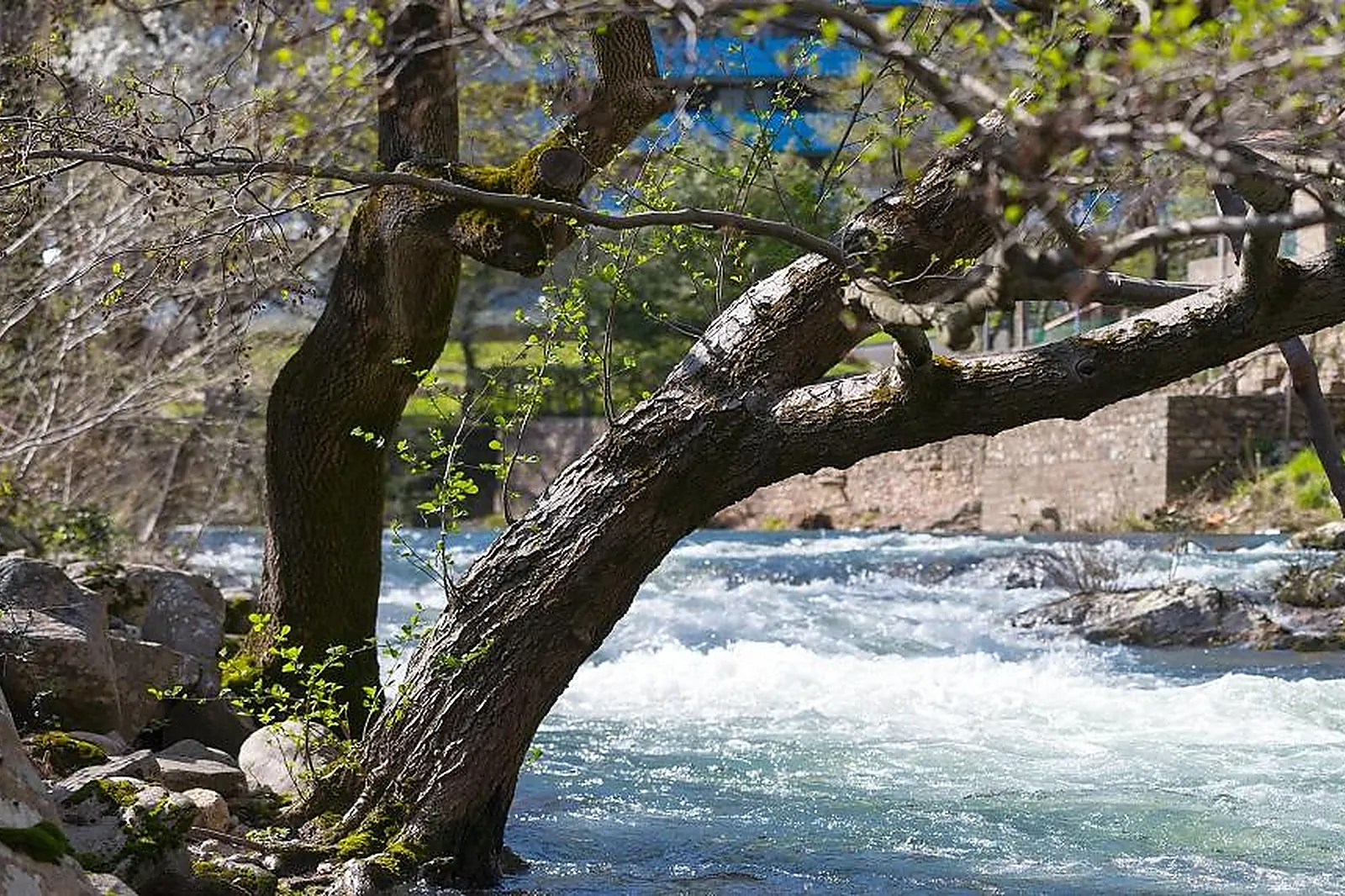 Lieux événementiels, EAU THERMALE AVÈNE - L'HÔTEL
