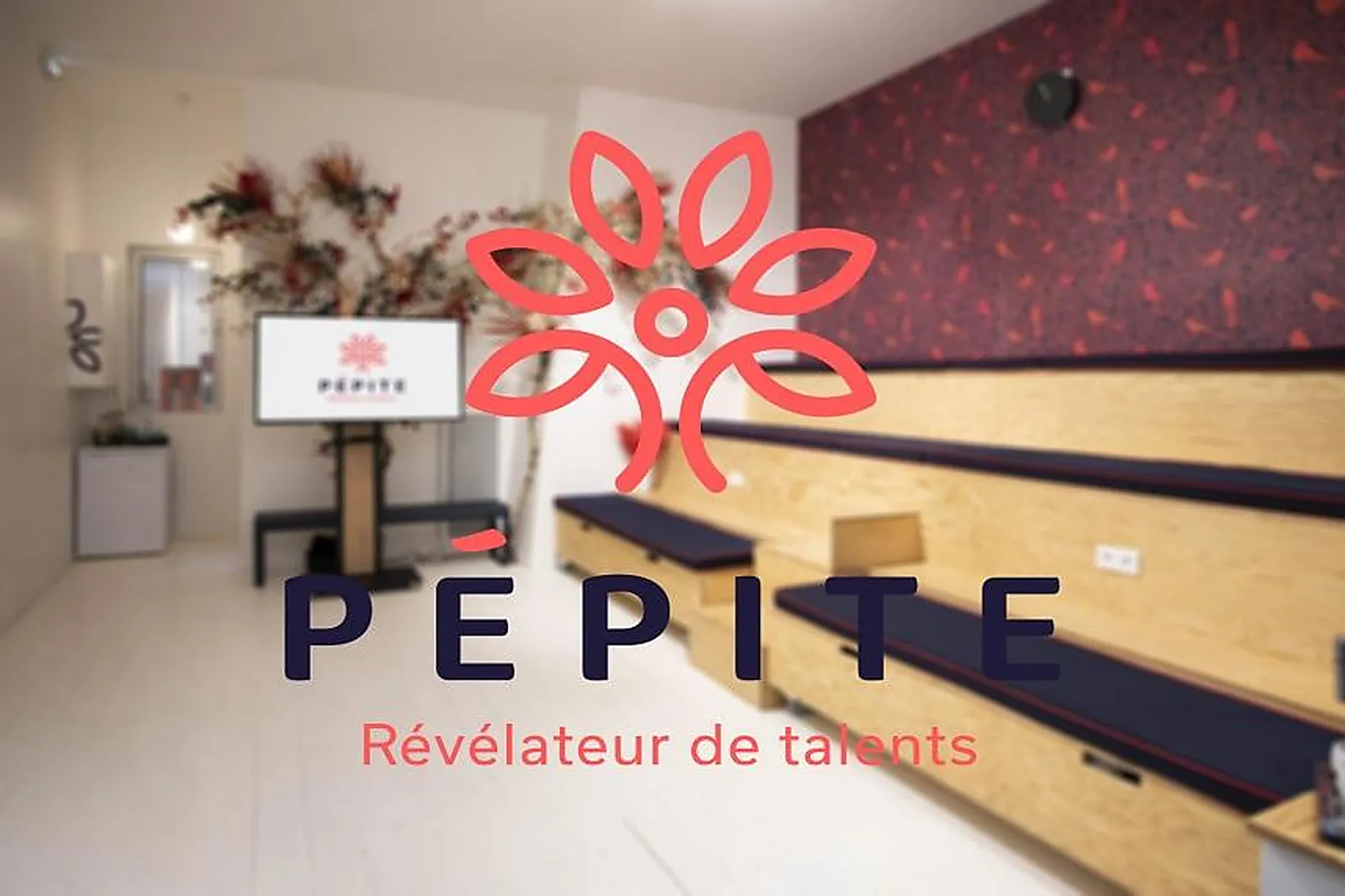 Hôtel, ECO-LIEU PÉPITE PARIS