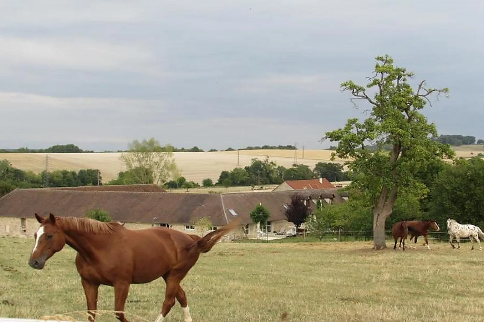 Lieux événementiels, FERME HISTORIQUE JEAN DE LA FONTAINE