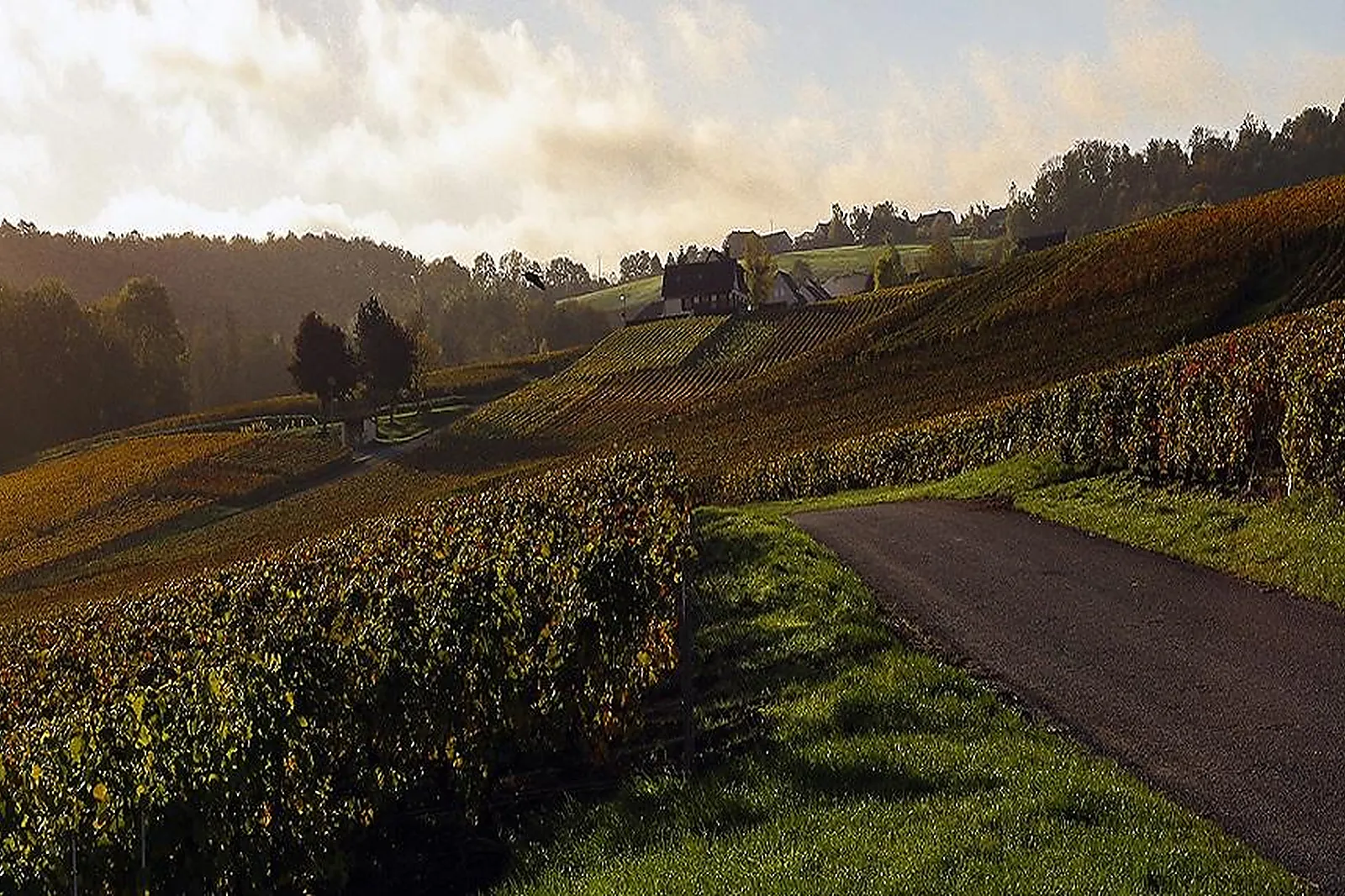 Lieux événementiels, HOSTELLERIE DE LA BRIQUETERIE