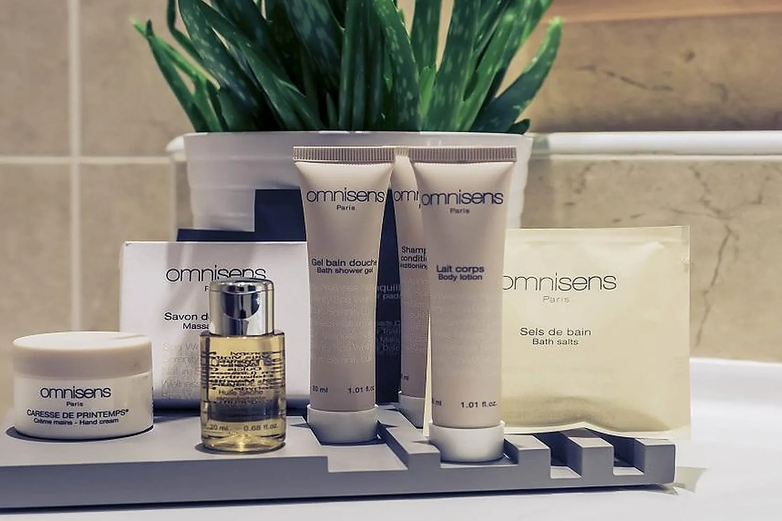 Lieux événementiels, HOTEL MERCURE TOURS CENTRE GARE