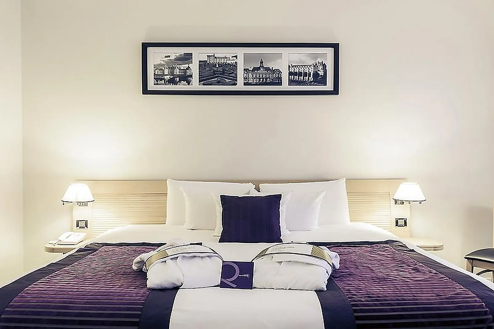 Lieux événementiels, HOTEL MERCURE TOURS CENTRE GARE