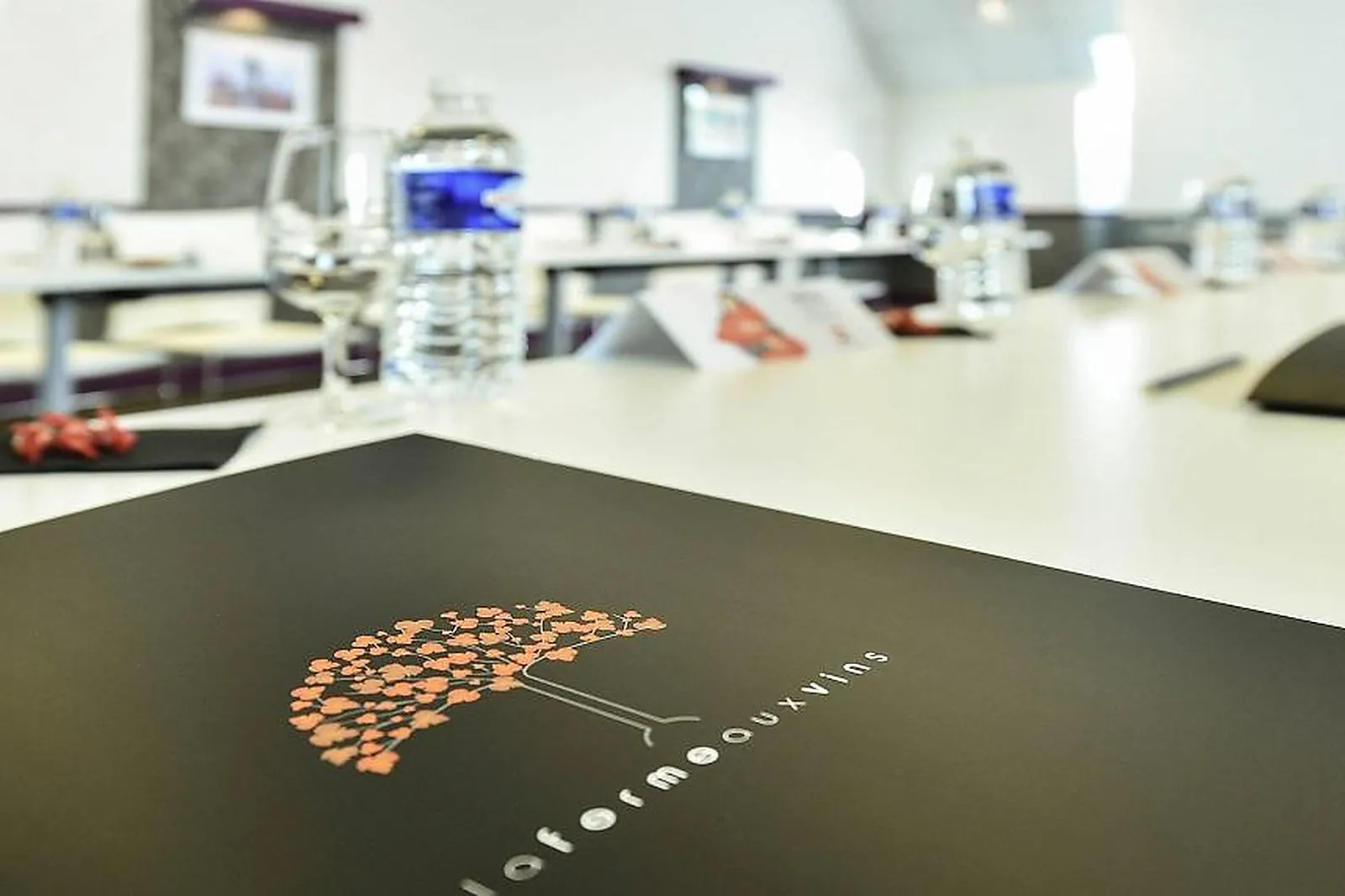 Lieux événementiels, HOTEL IBIS BEAUNE LA FERME AUX VINS