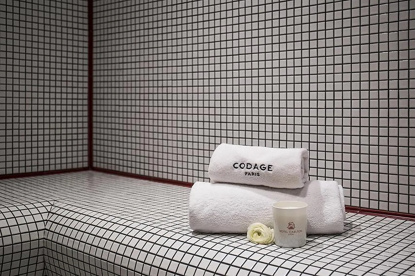 Lieux événementiels, HÔTEL CARLTON LYON