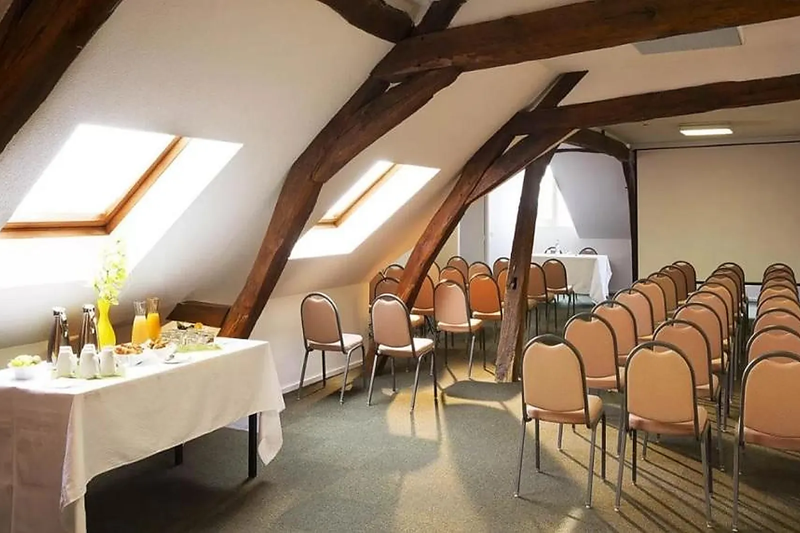 Lieux événementiels, HÔTEL ESCALE OCEANIA ORLÉANS