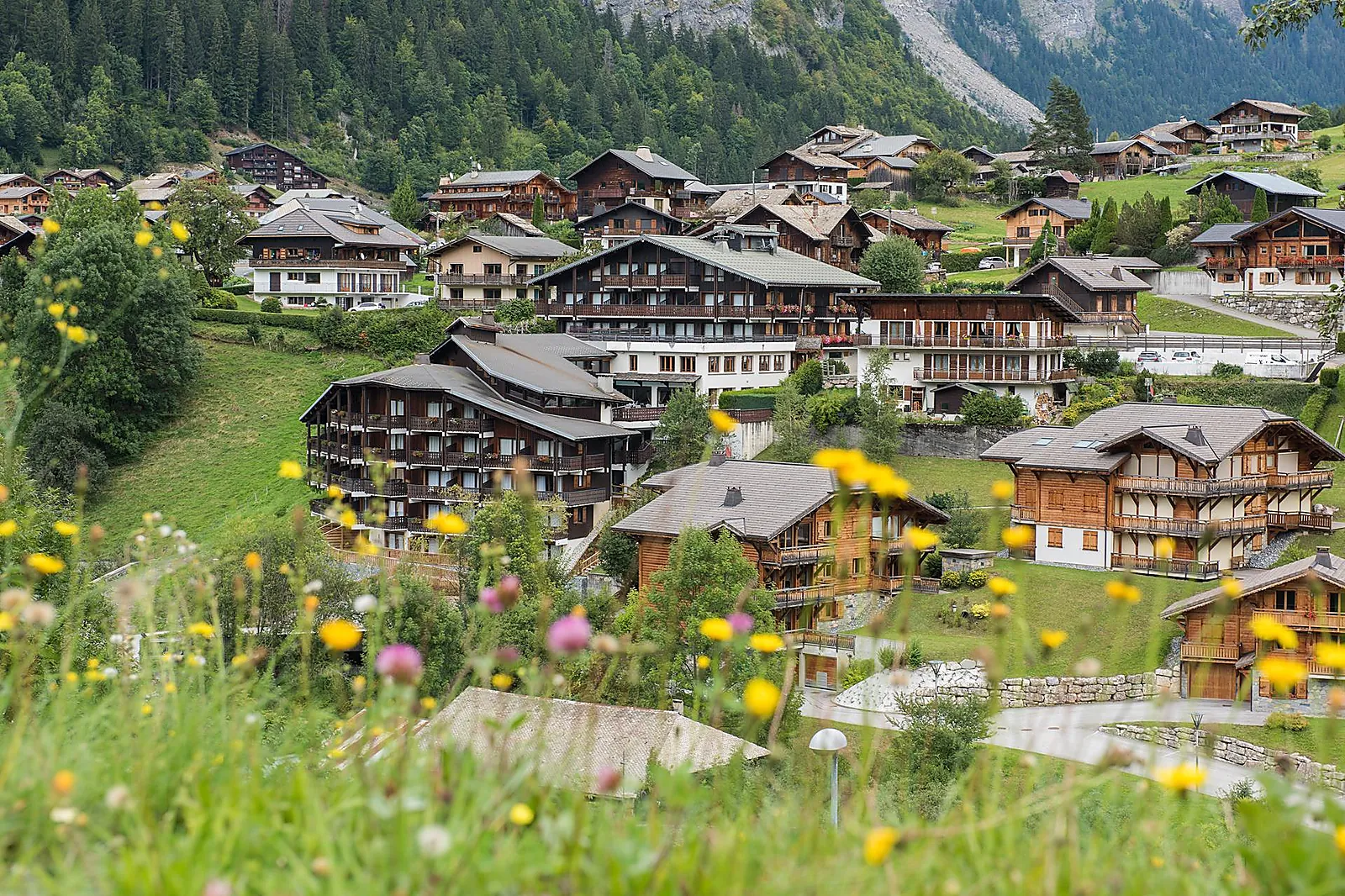 Hôtel, HÔTEL LE PETIT DRU