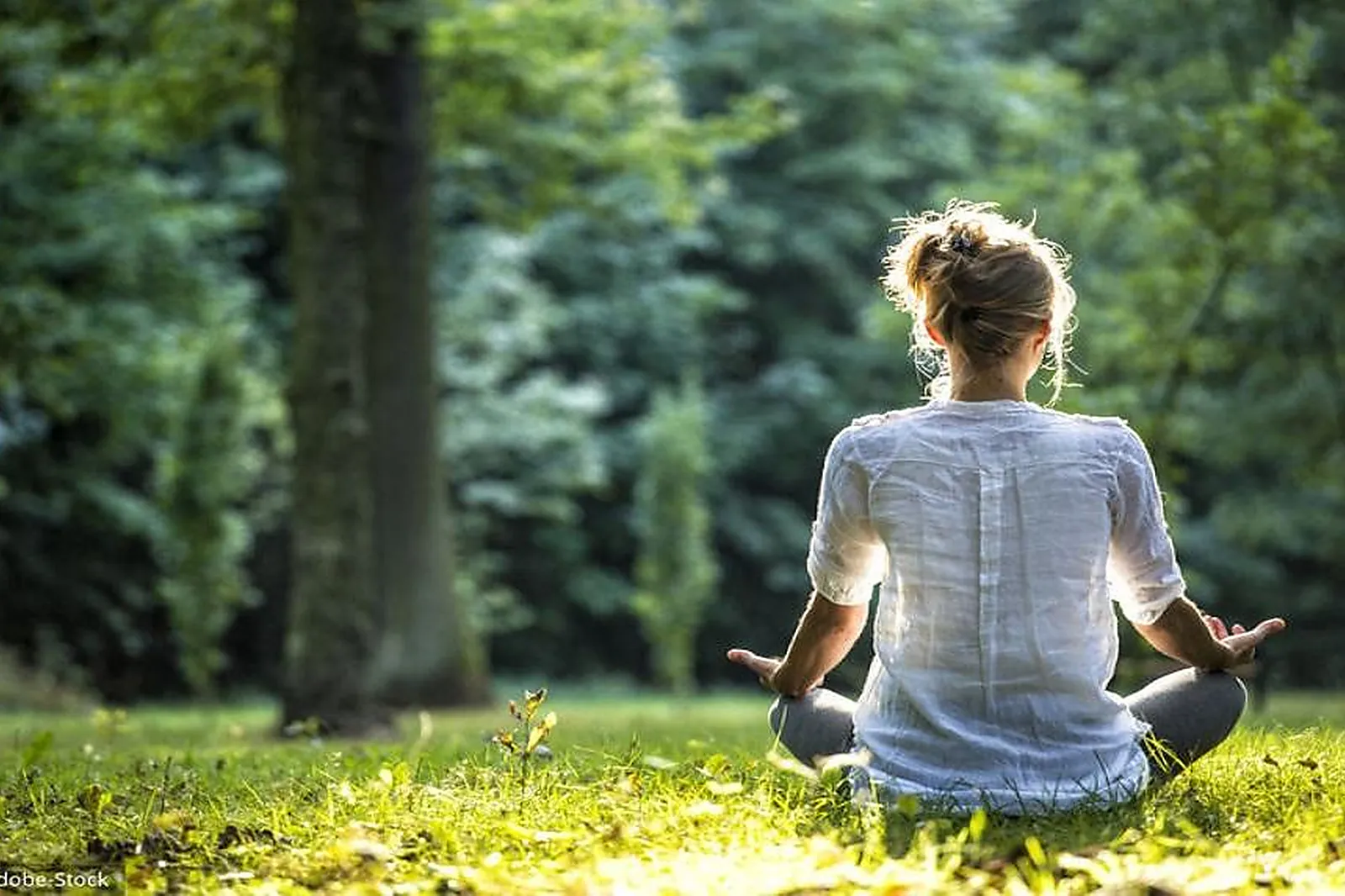 Lieux événementiels, HÔTEL LES PLÉIADES