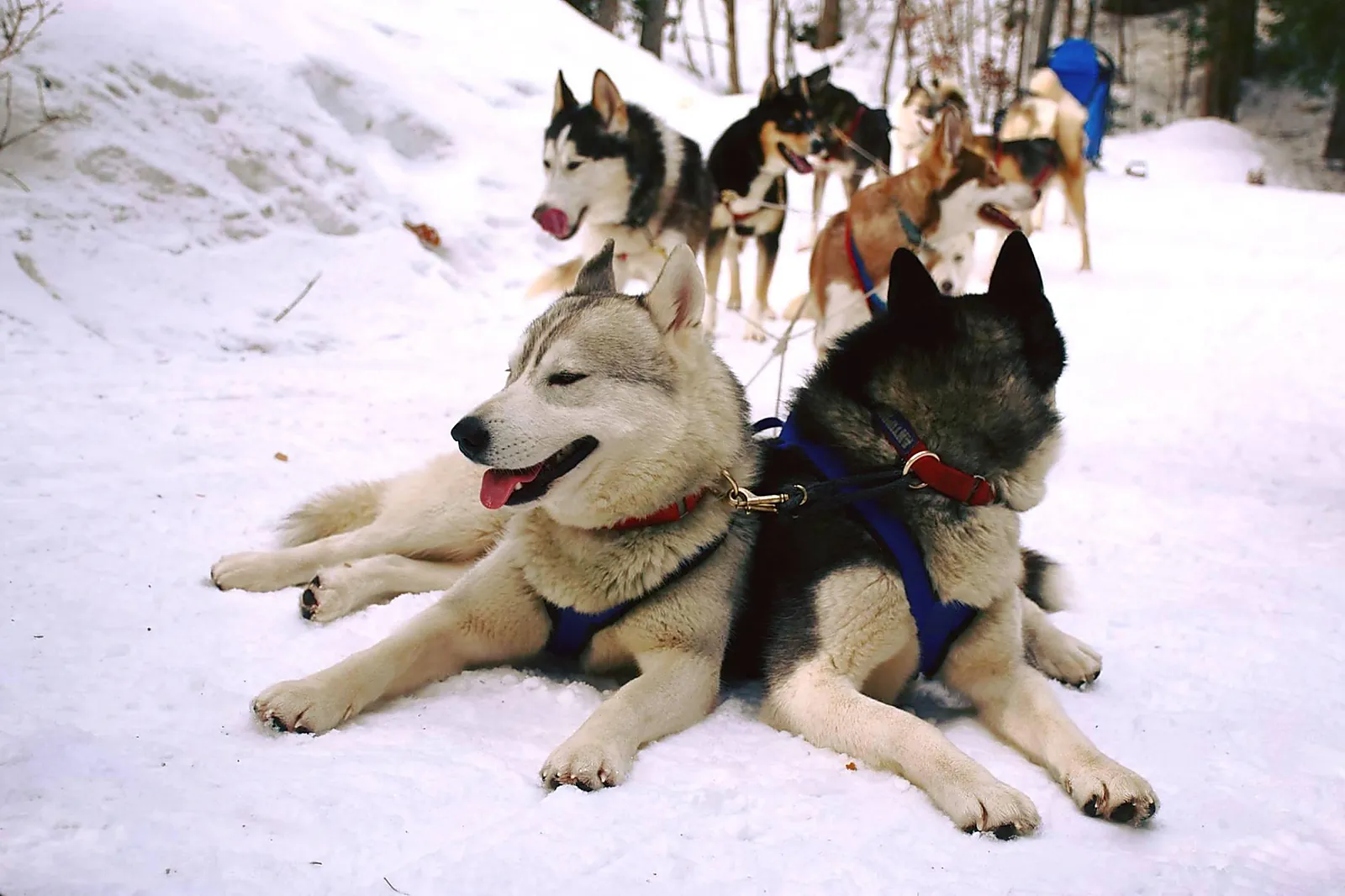 Hôtel, HÔTEL LES TRÉSOMS, LAKE AND SPA RESORT
