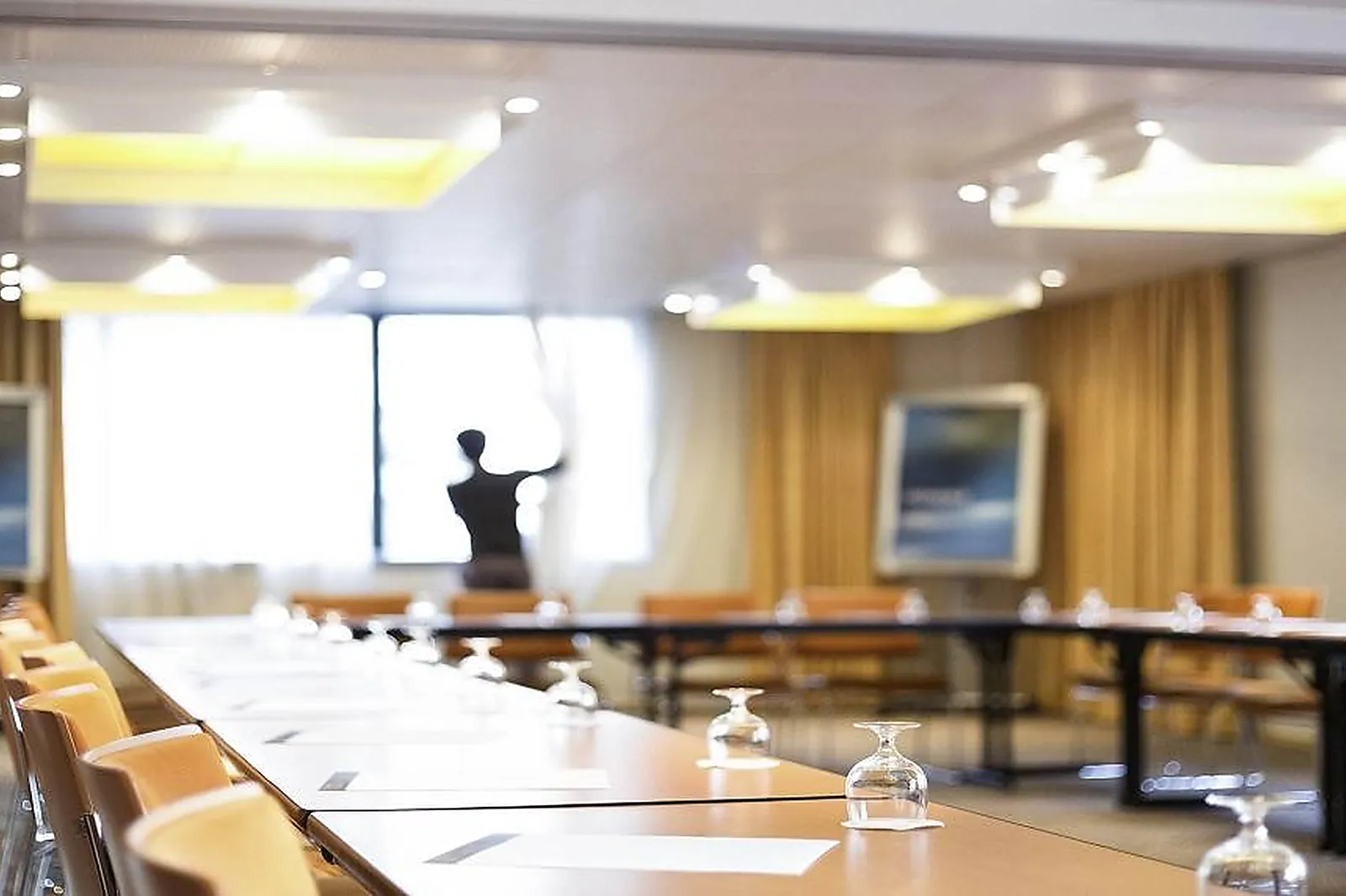 Lieux événementiels, HÔTEL NOVOTEL GRENOBLE CENTRE