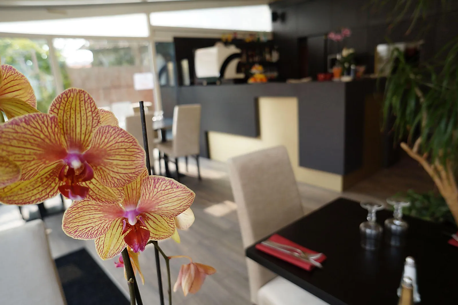 Lieux événementiels, HÔTEL ET STUDIOS LE MARINA