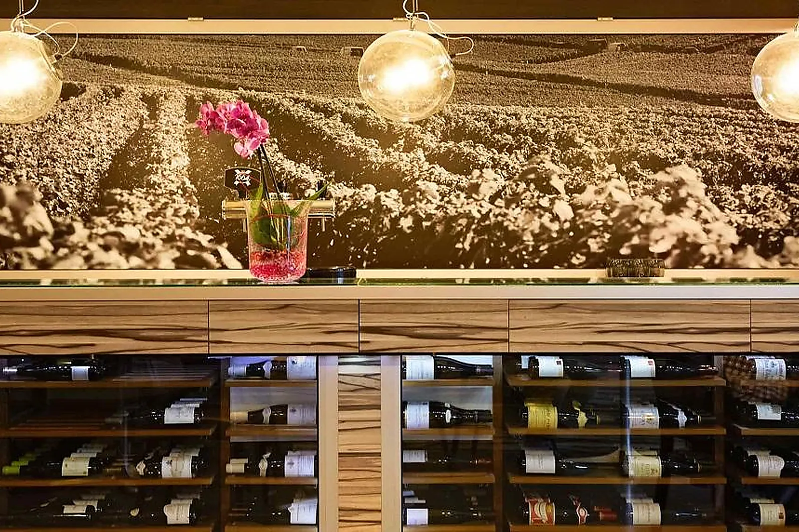 Lieux événementiels, HÔTEL IBIS CHALON-SUR-SAÔNE EUROPE