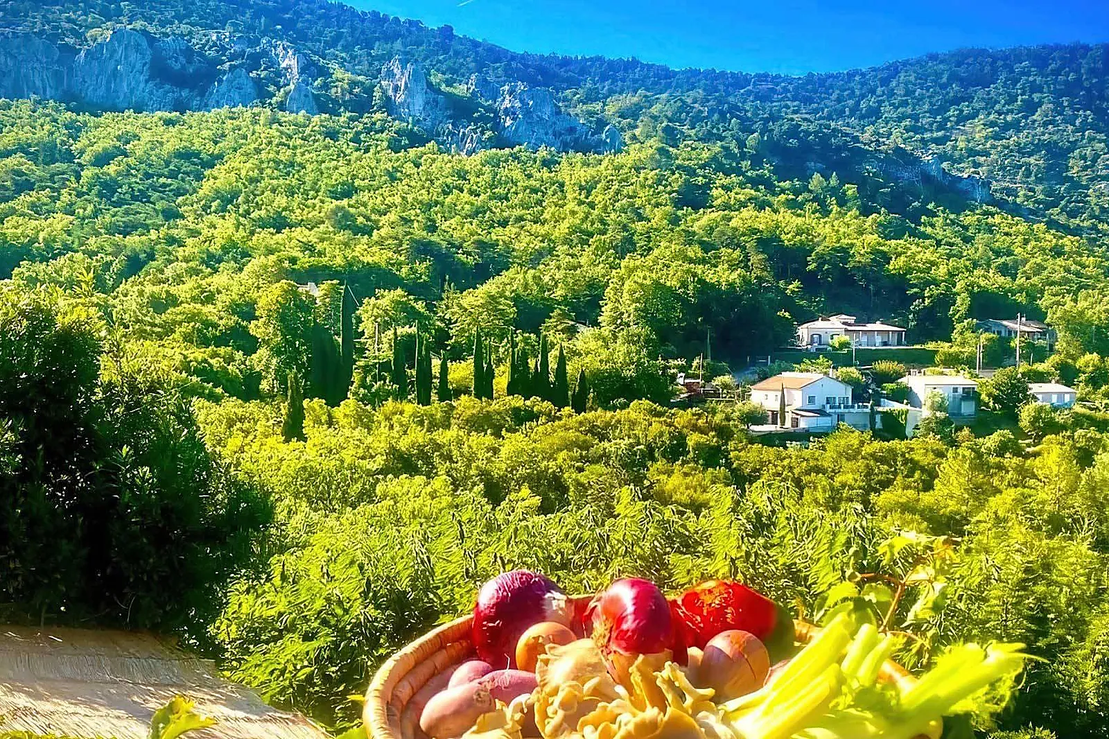 Hôtel, HÔTEL LE GRAND PUECH