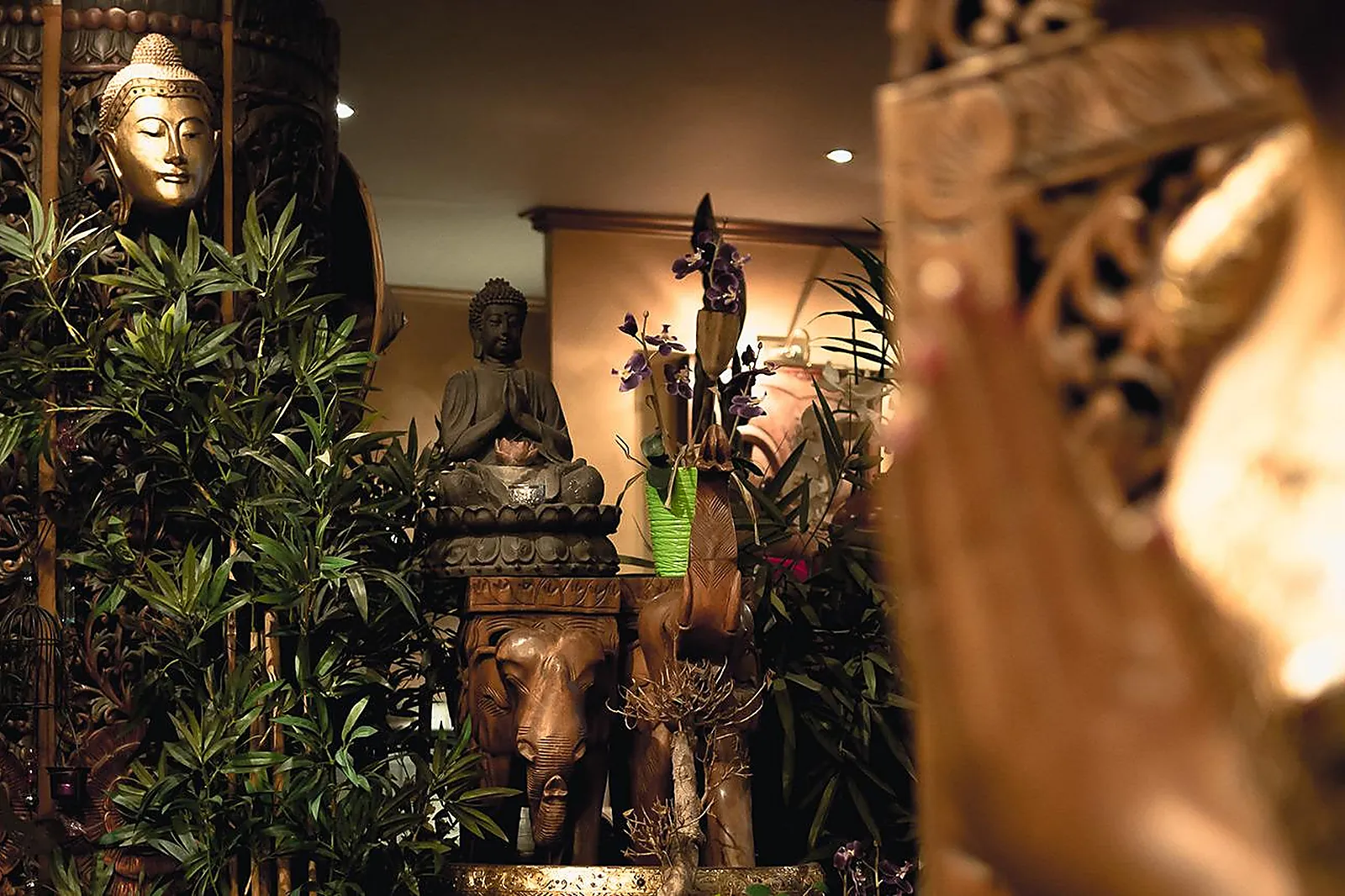 Cafés et Restaurants, L'ASIANE