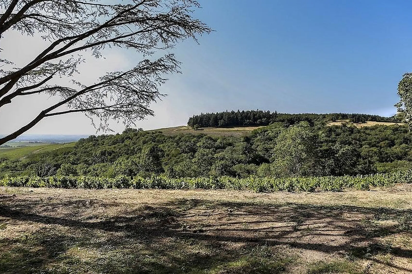 Lieux événementiels, L'ERMITAGE DE BROUILLY