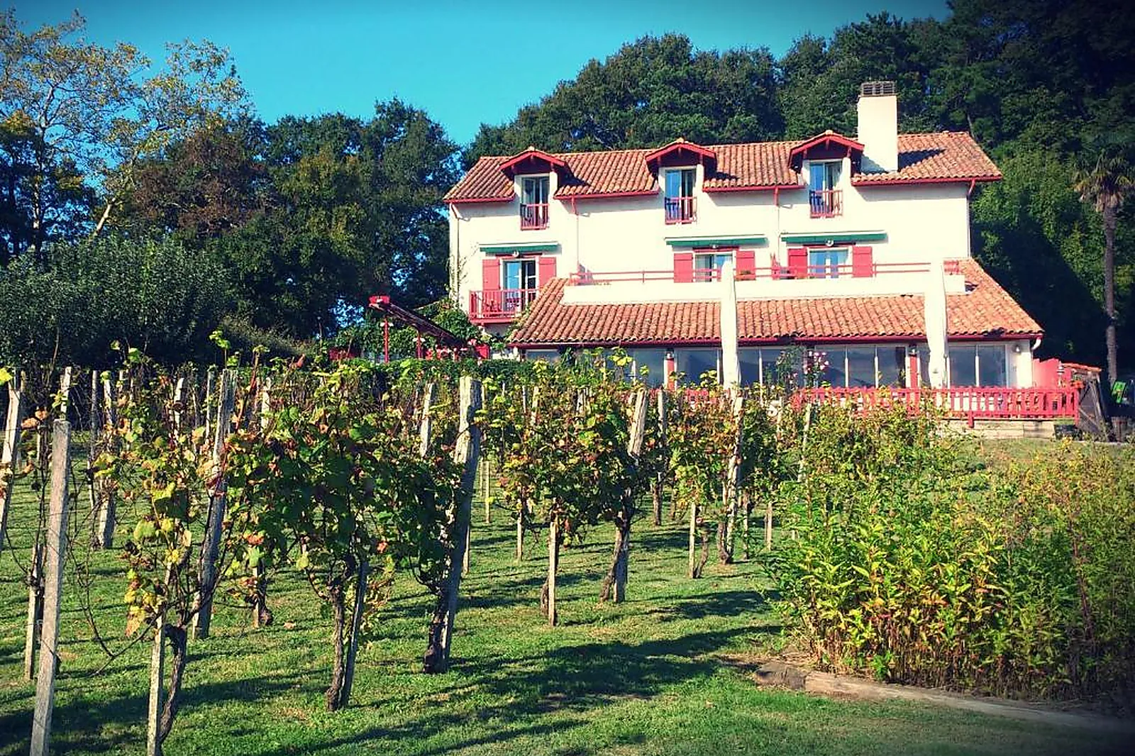 Ferme, LA FERME OSTALAPIA