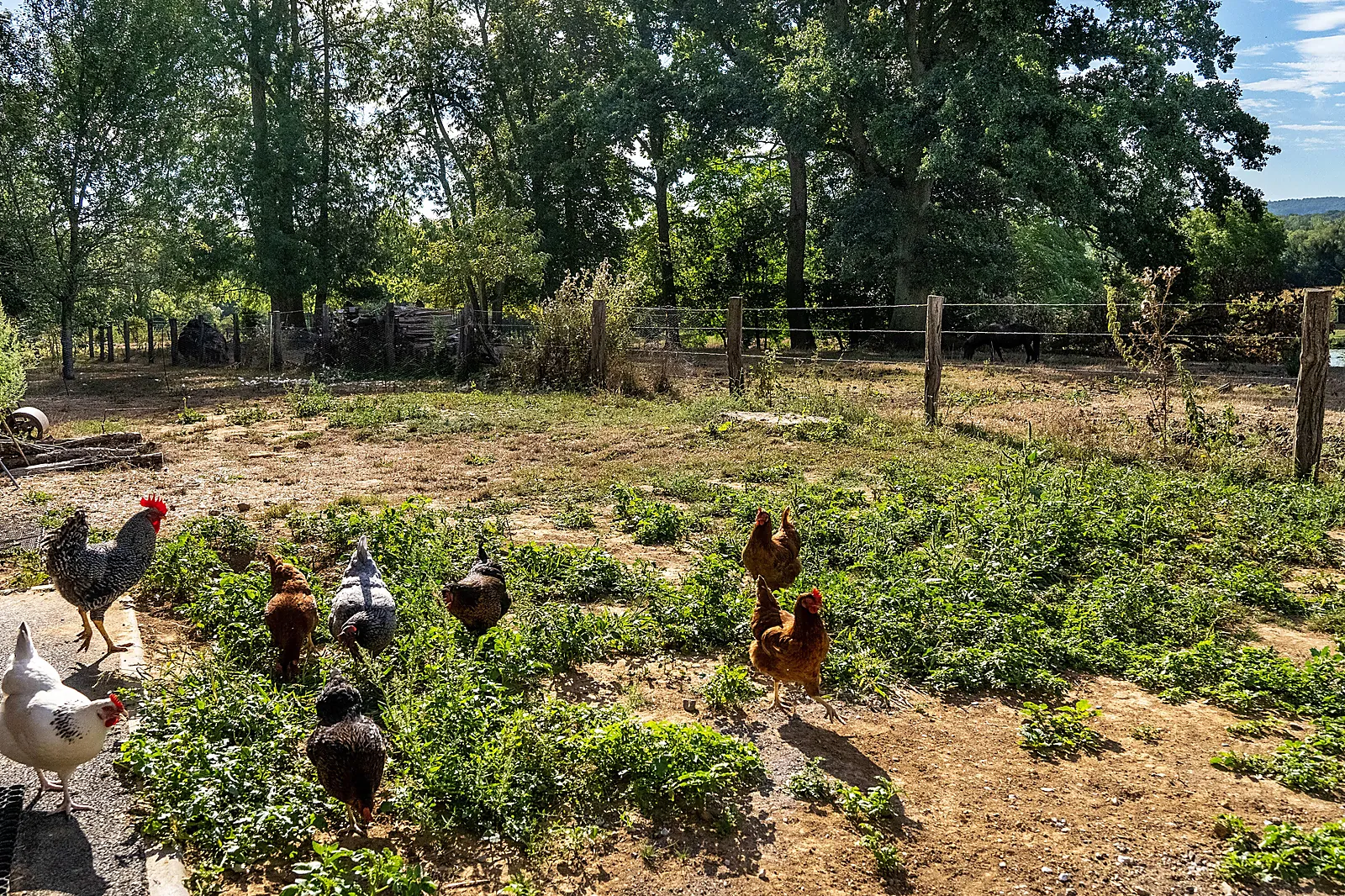 Lieux événementiels, LA FERME DE FONTENILLE
