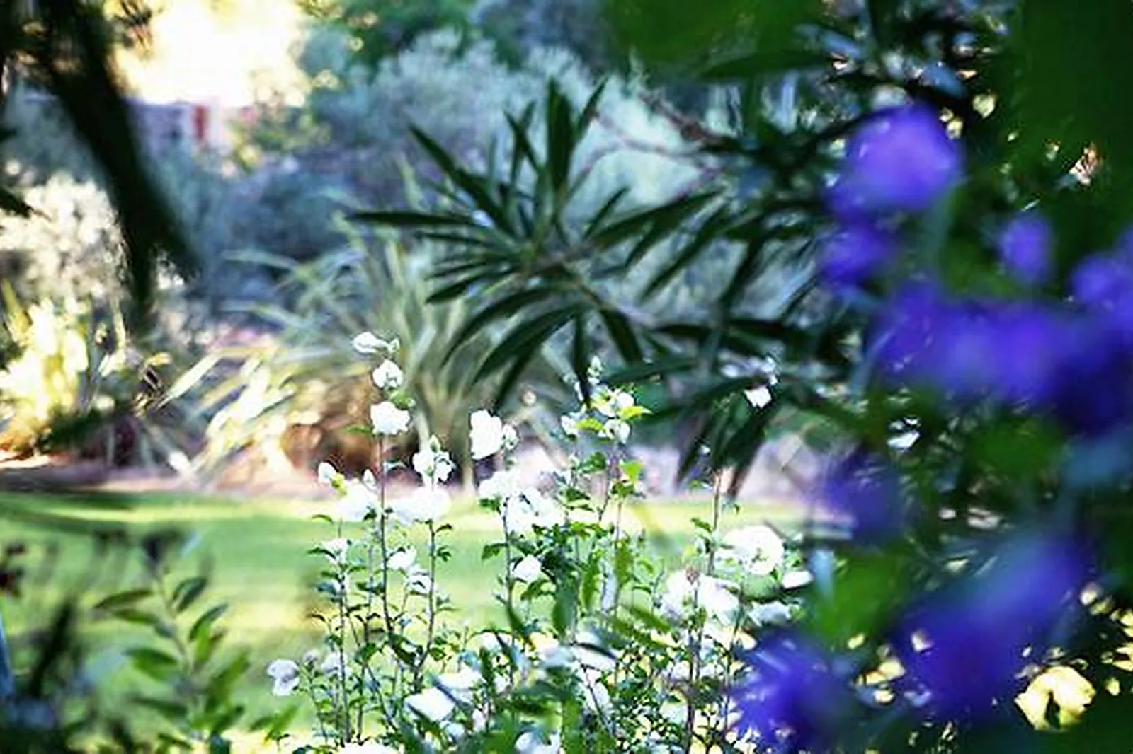 Lieux événementiels, LE CHÂTEAU LE BOUÏS