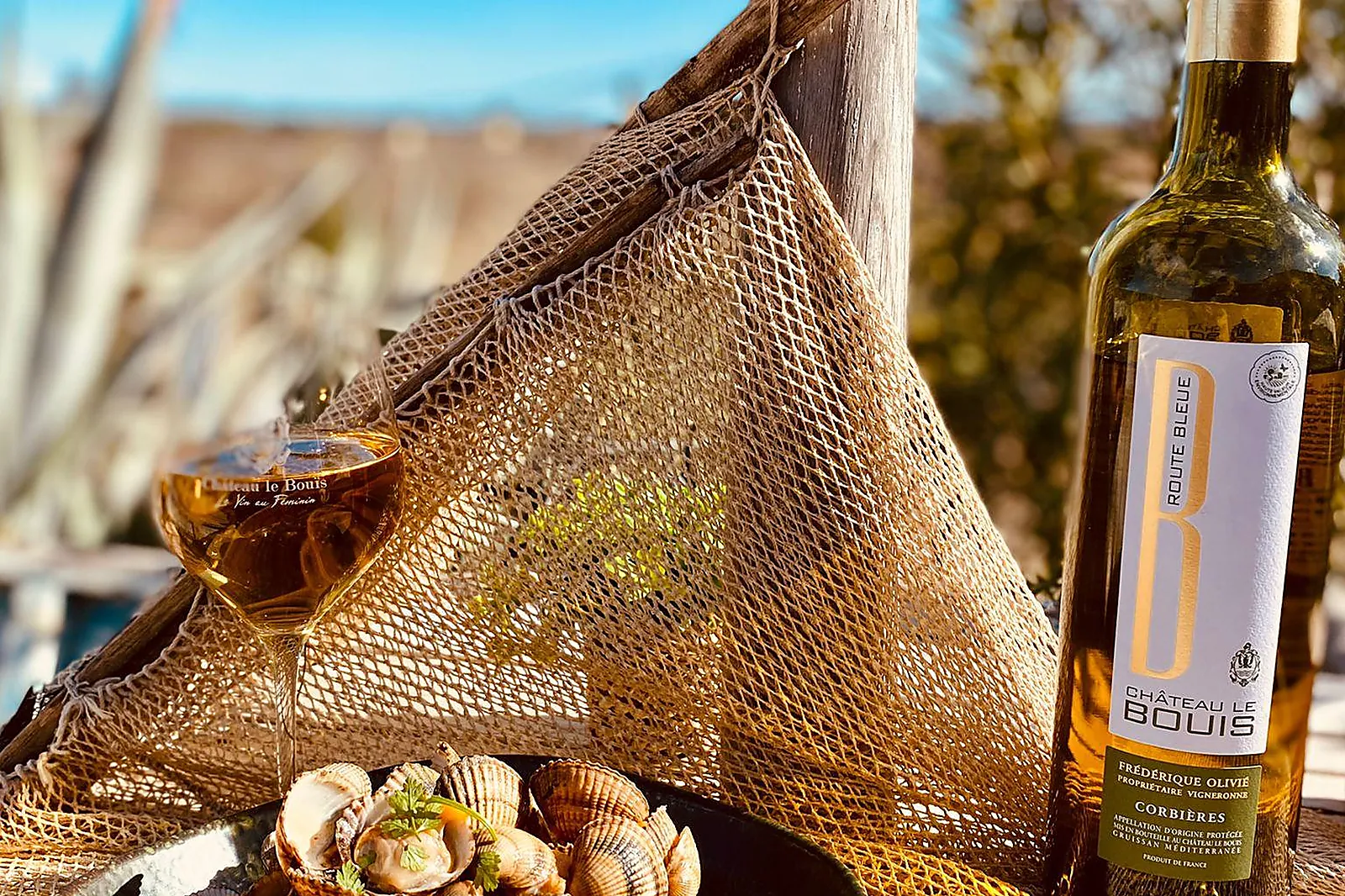 Lieux événementiels, LE CHÂTEAU LE BOUÏS