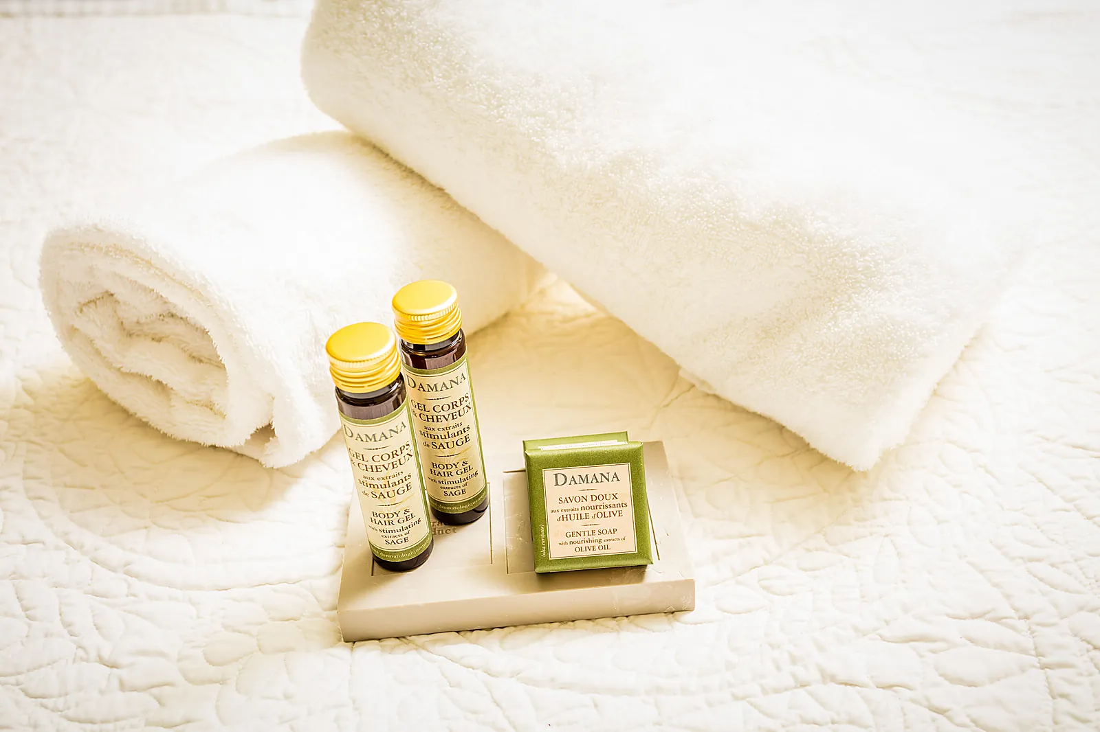 Lieux événementiels, LE CHÂTEAU LE BOUÏS