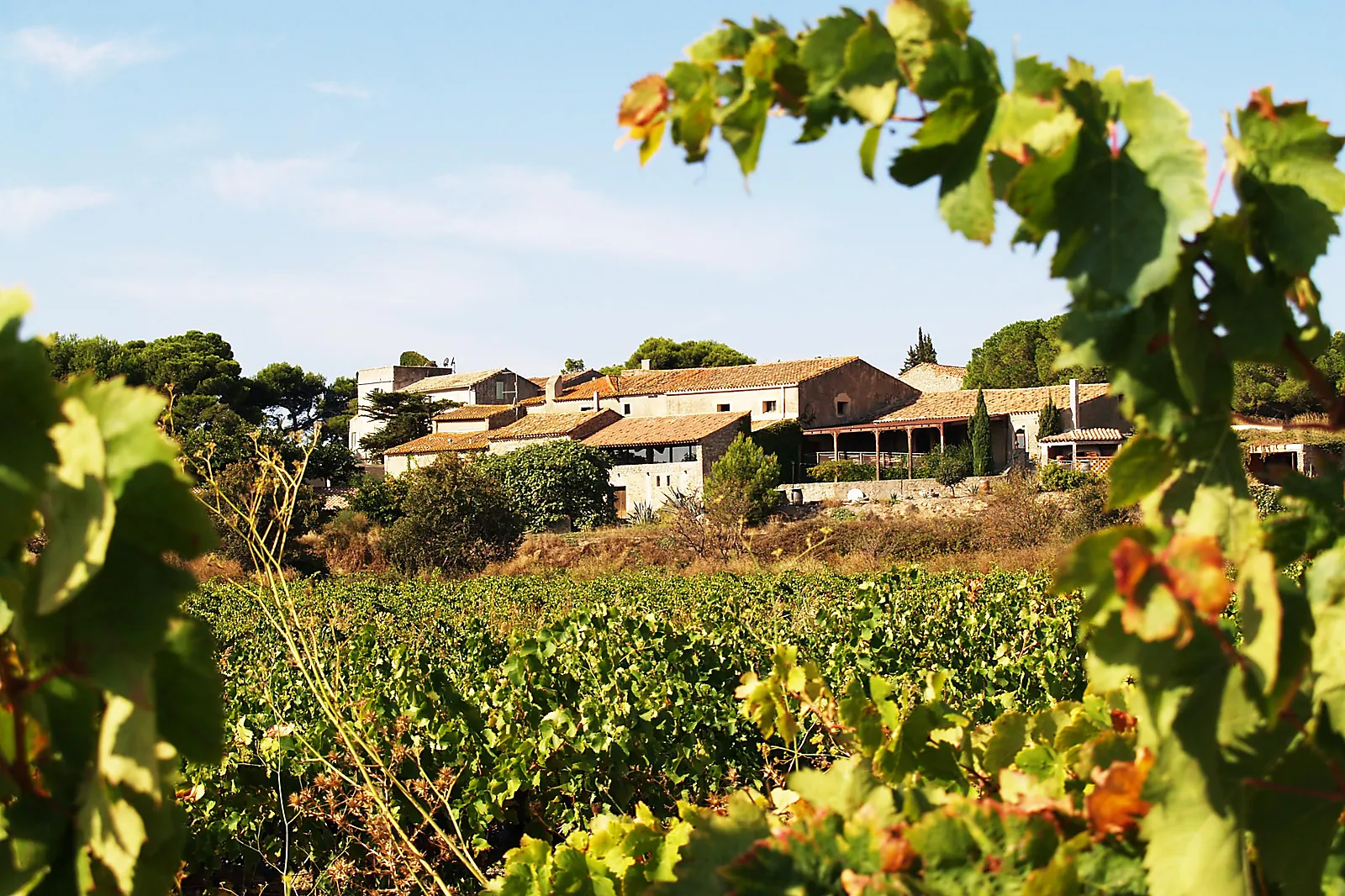 Lieux événementiels, LE CHÂTEAU LE BOUÏS