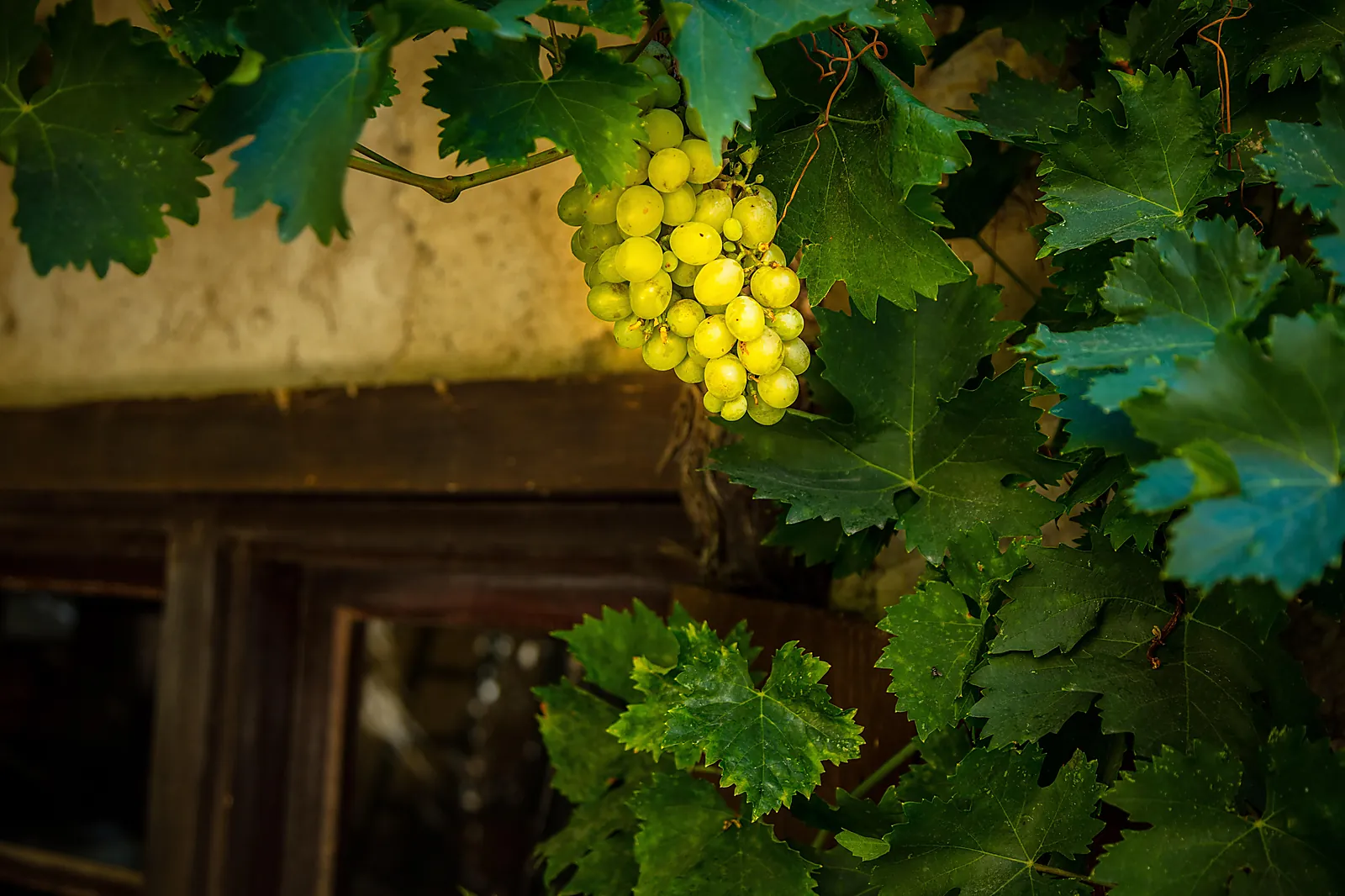Lieux événementiels, LE CHÂTEAU LE BOUÏS