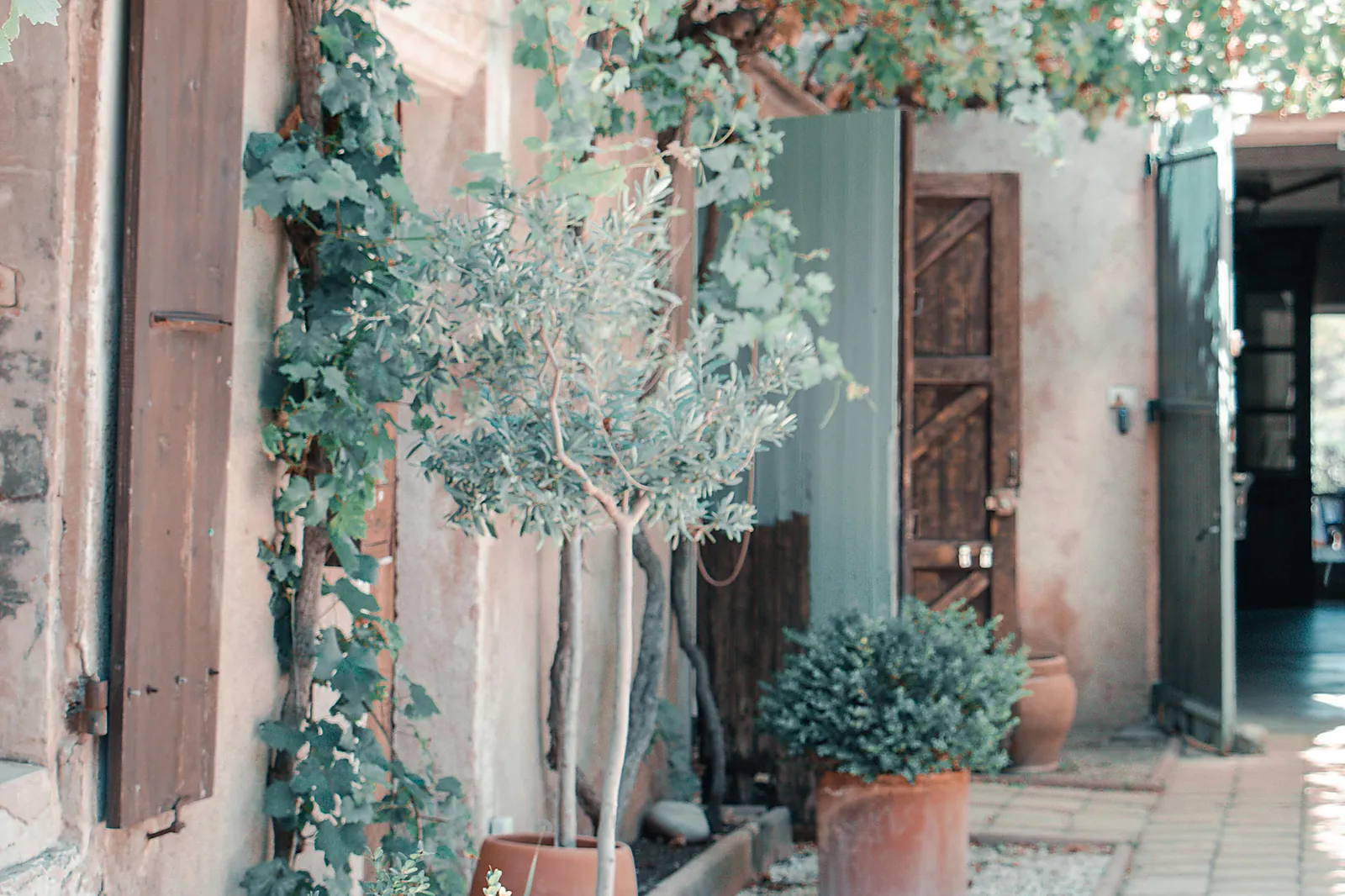 Lieux événementiels, LE CHÂTEAU LE BOUÏS