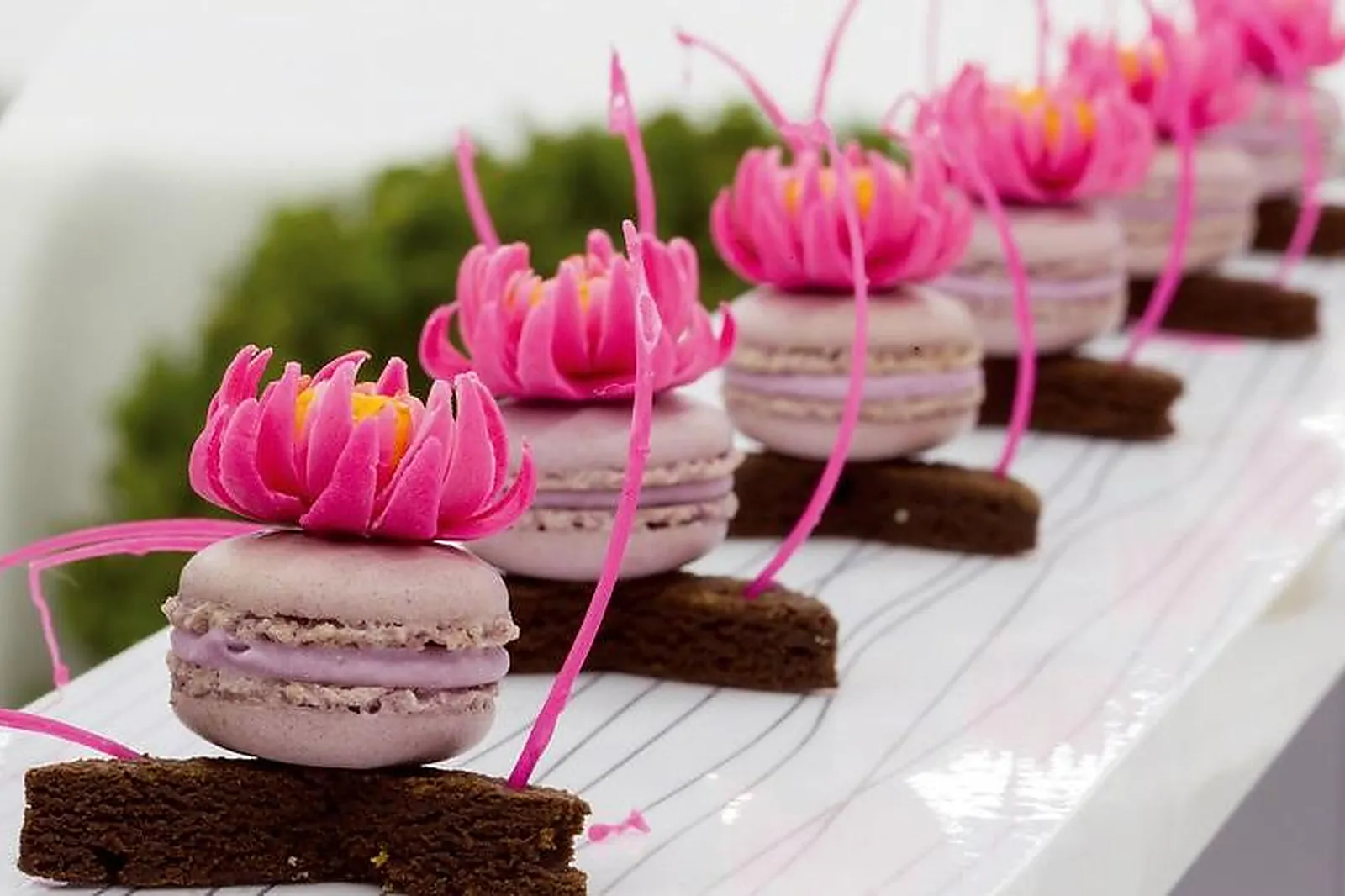 Lieux événementiels, LE PAVILLON CHESNAIE DU ROY