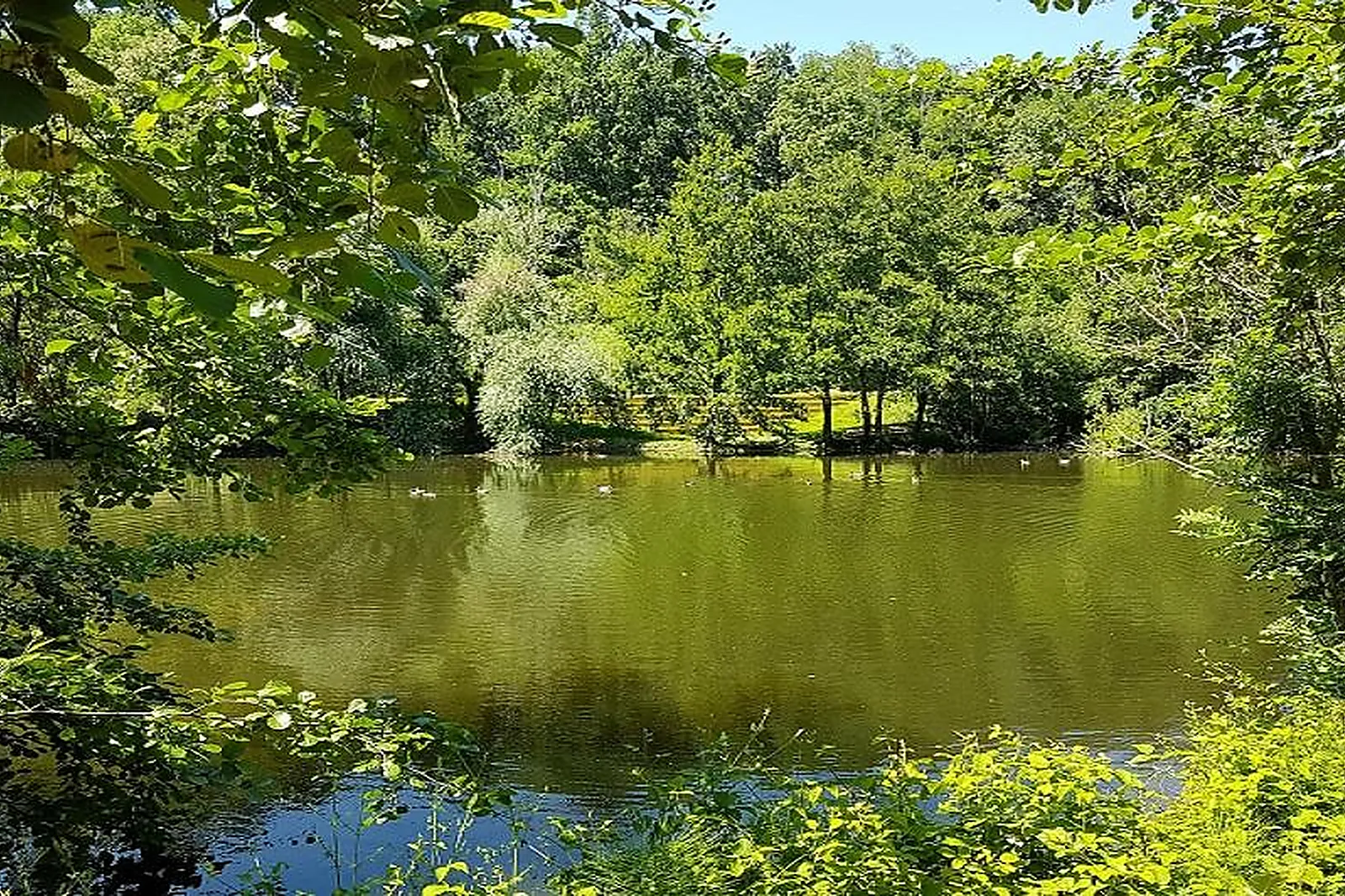 Théâtre, LE THÉÂTRE AU BORD DE L'EAU